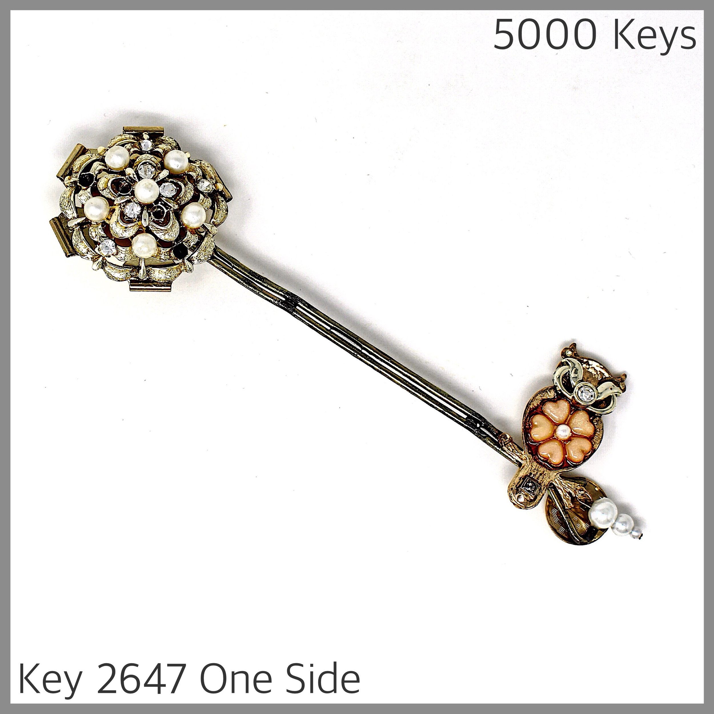 Key 2647 One Side.jpg