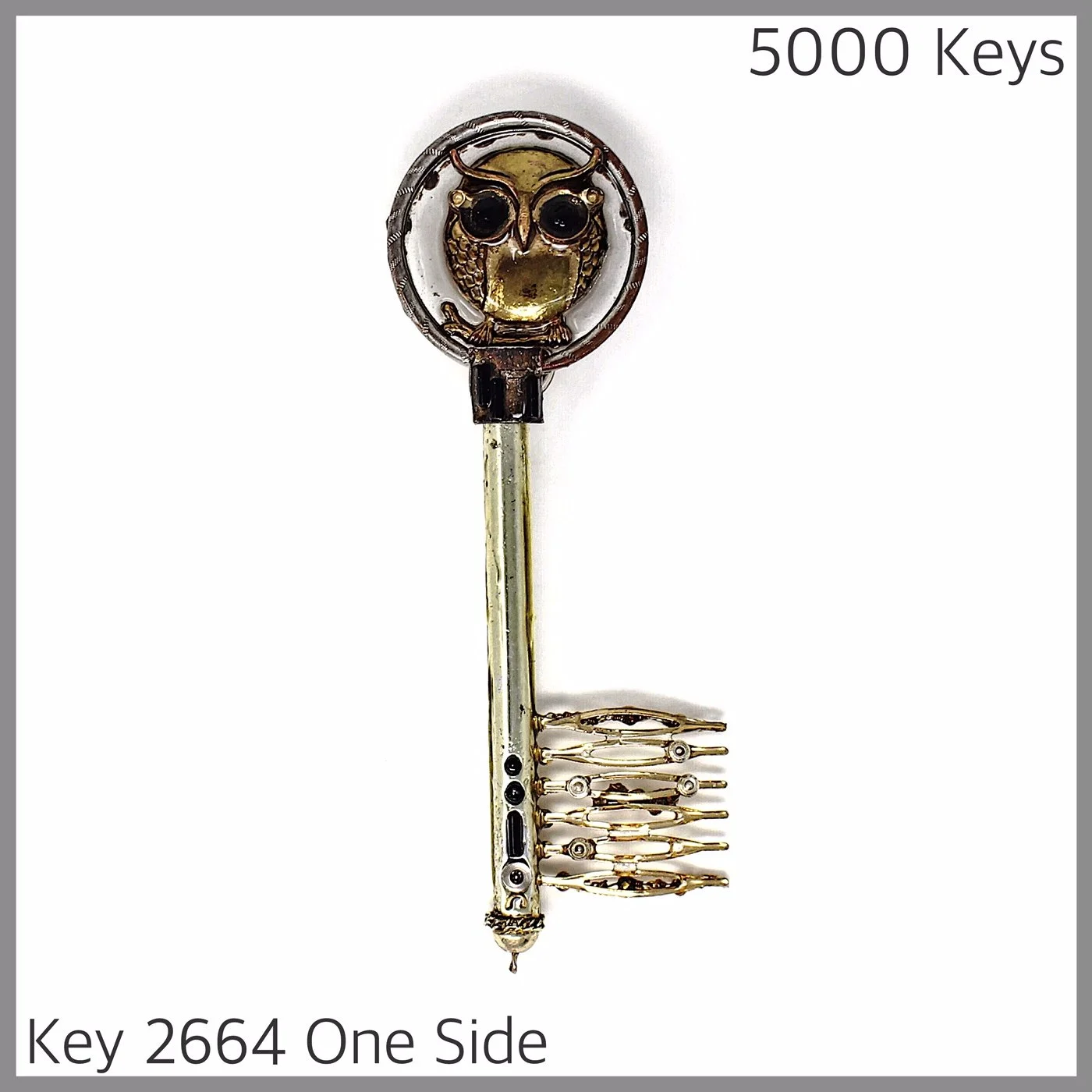 Key 2664 One Side.JPG