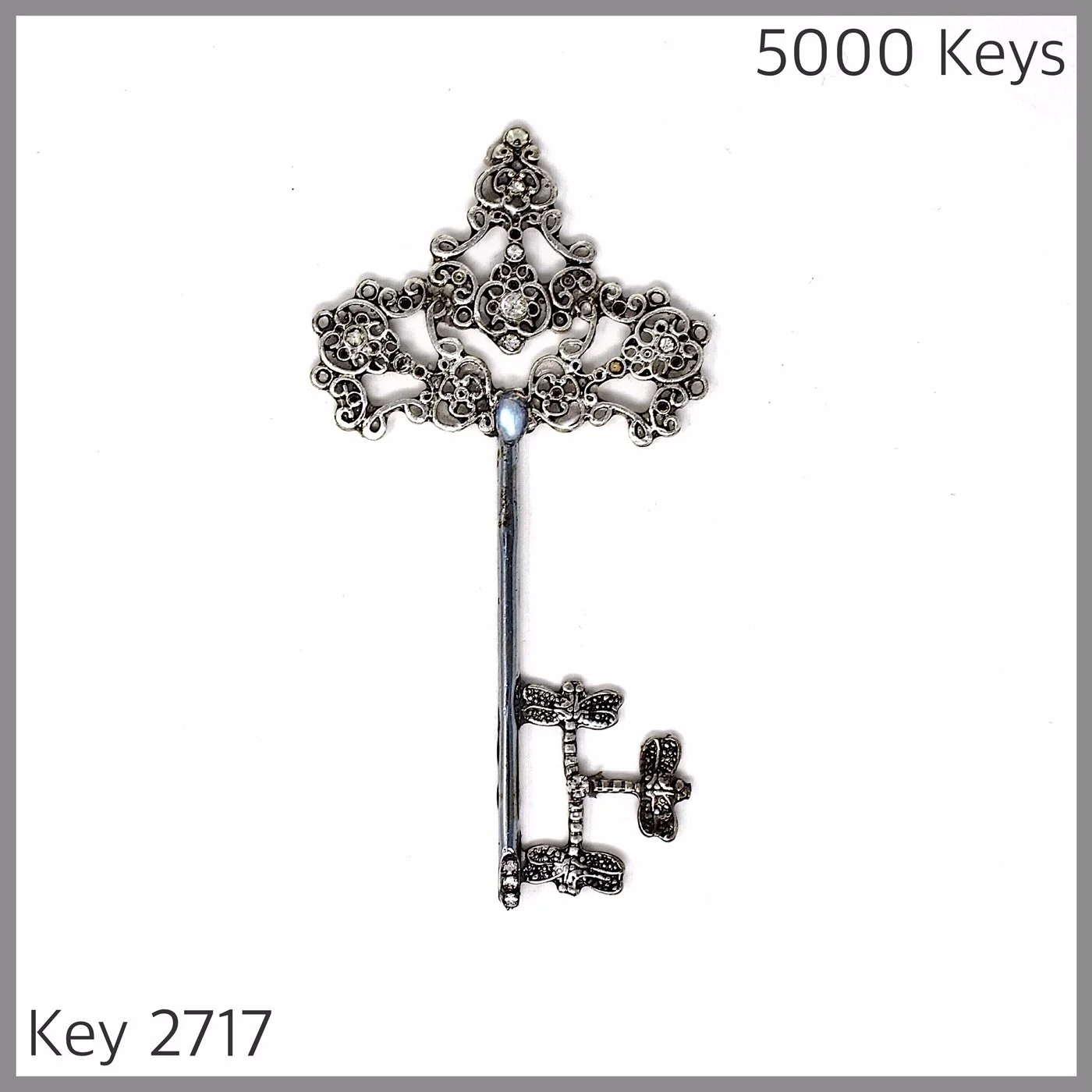 Key 2717.JPG