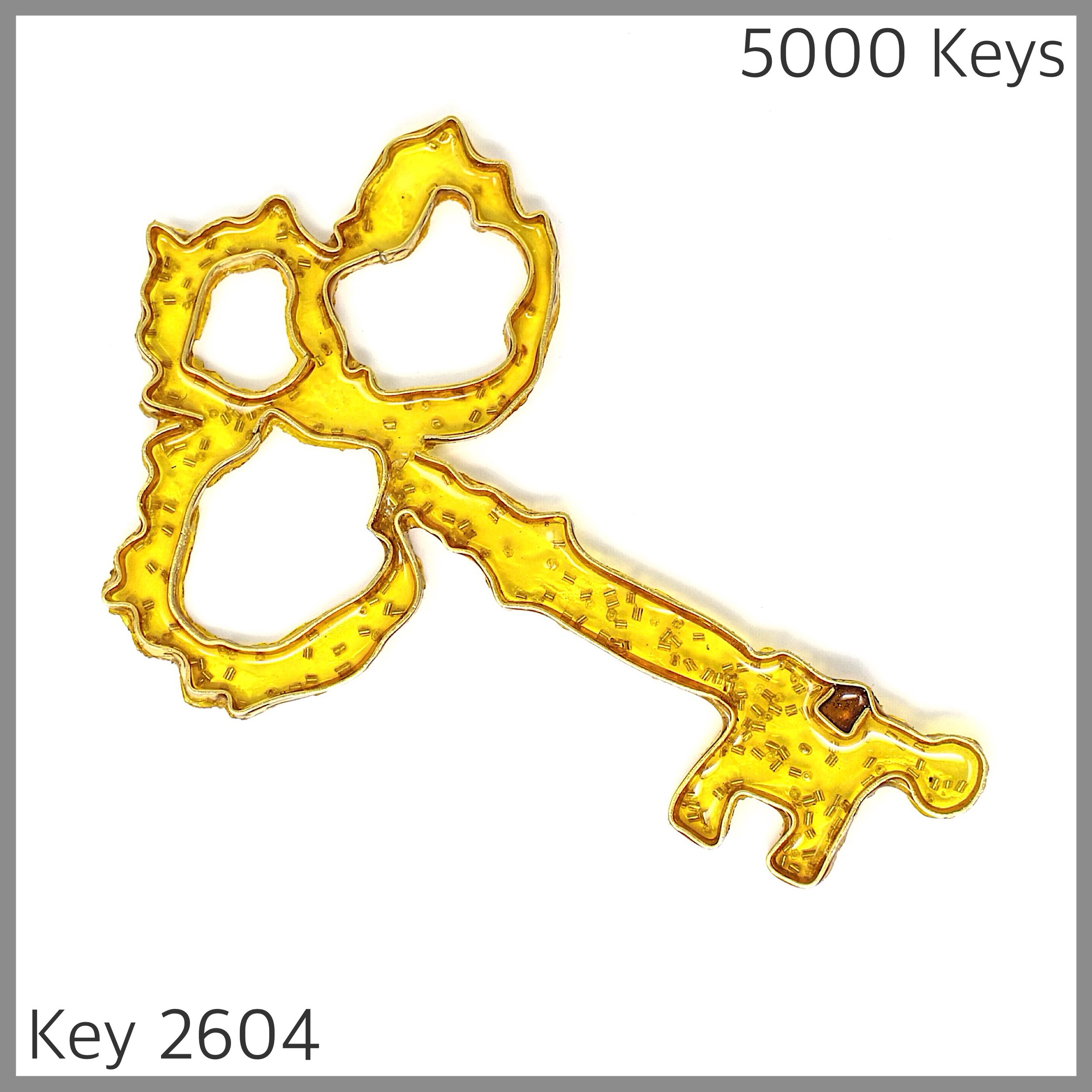 Key 2604.jpg
