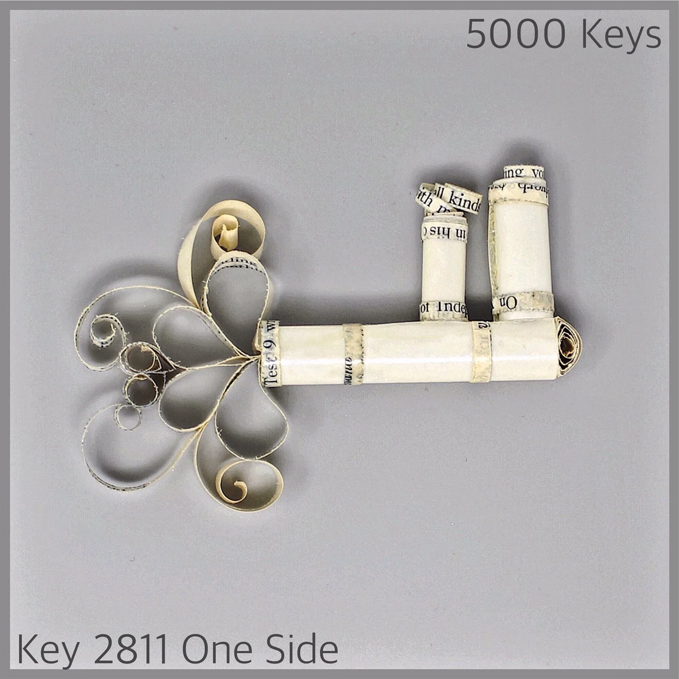 Key 2811 One Side.JPG