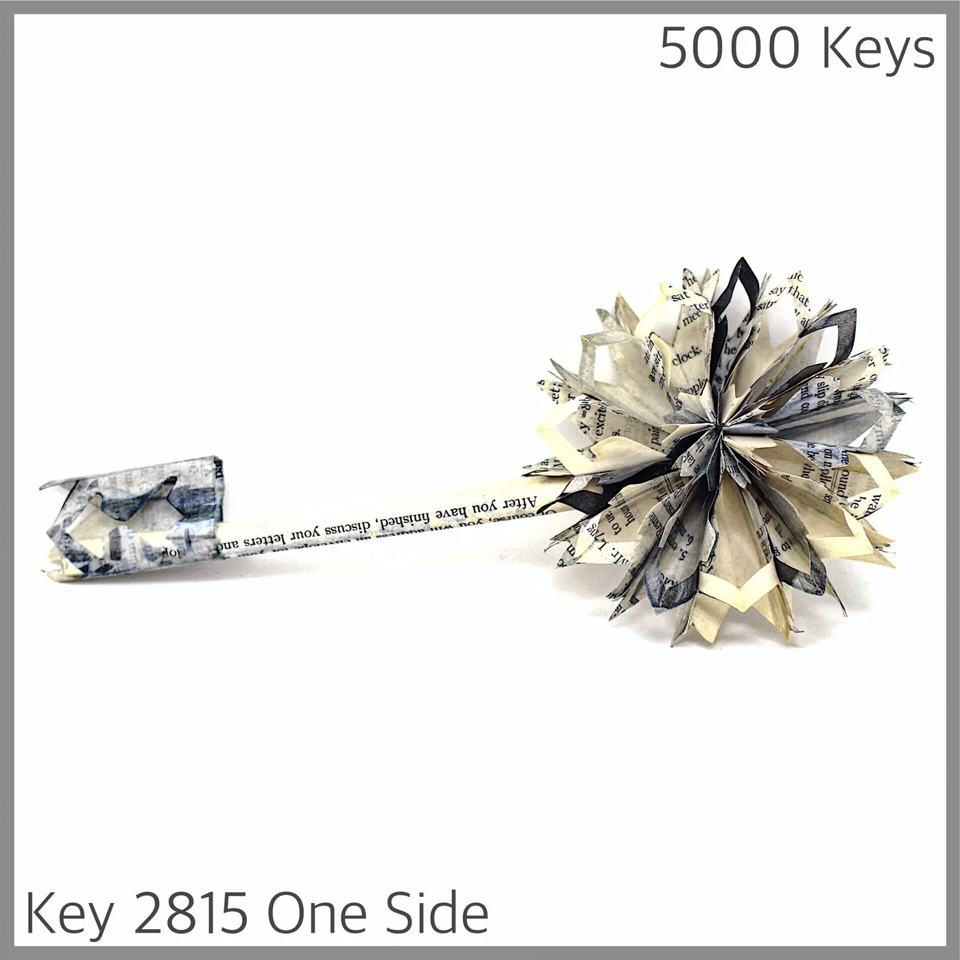 Key 2815 One Side.JPG