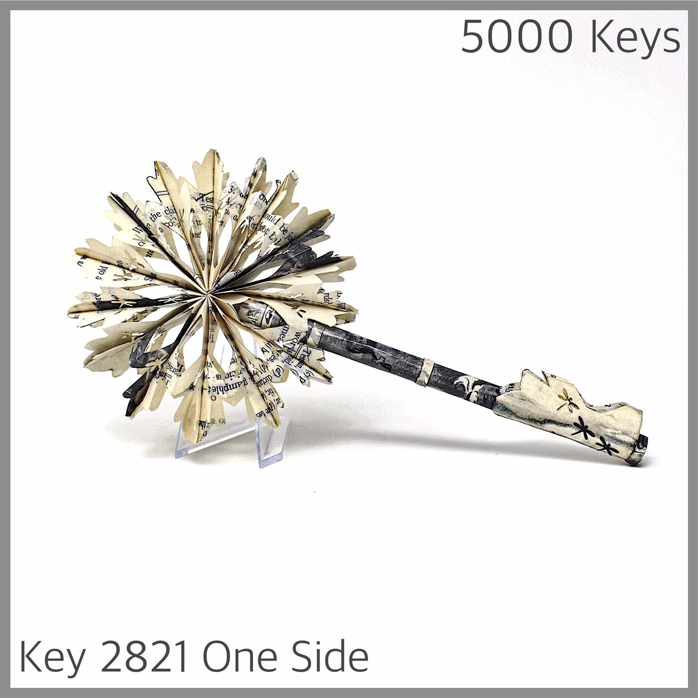 Key 2821 One Side.JPG