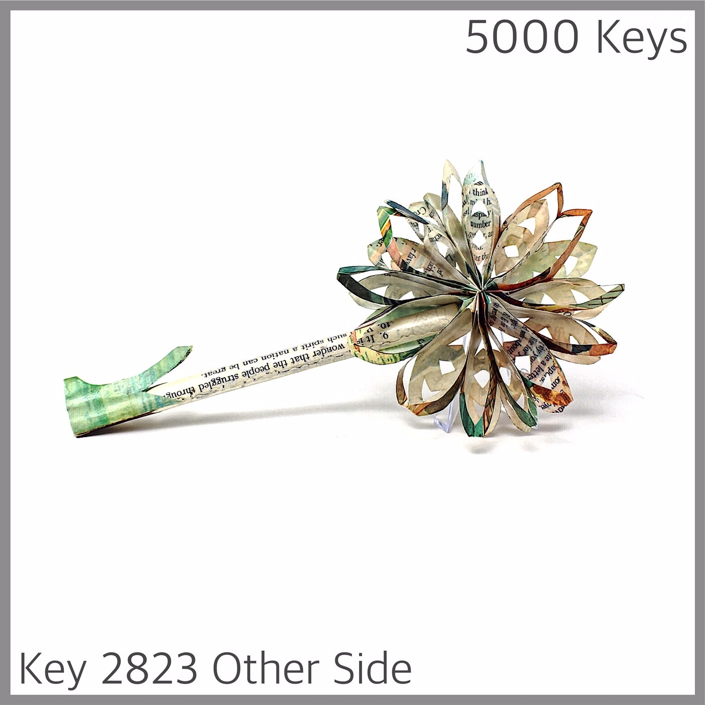 Key 2823 Other Side.JPG