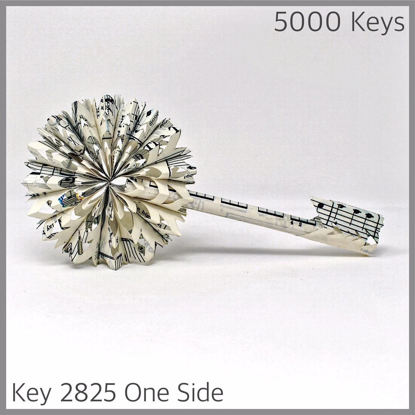 Key 2825 One Side.JPG