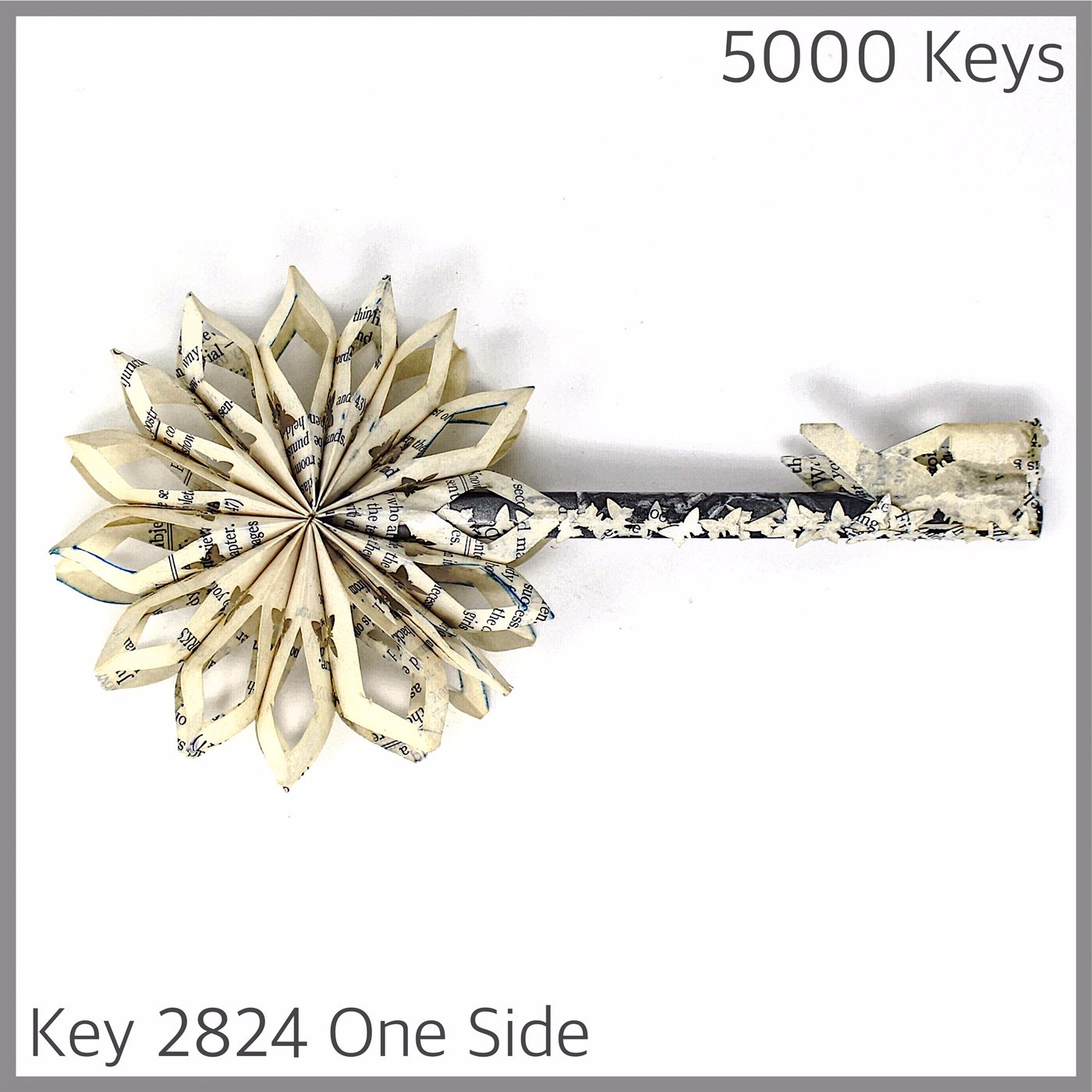 Key 2824 One Side.JPG