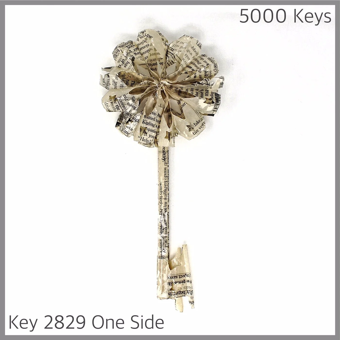 Key 2829 One Side.JPG