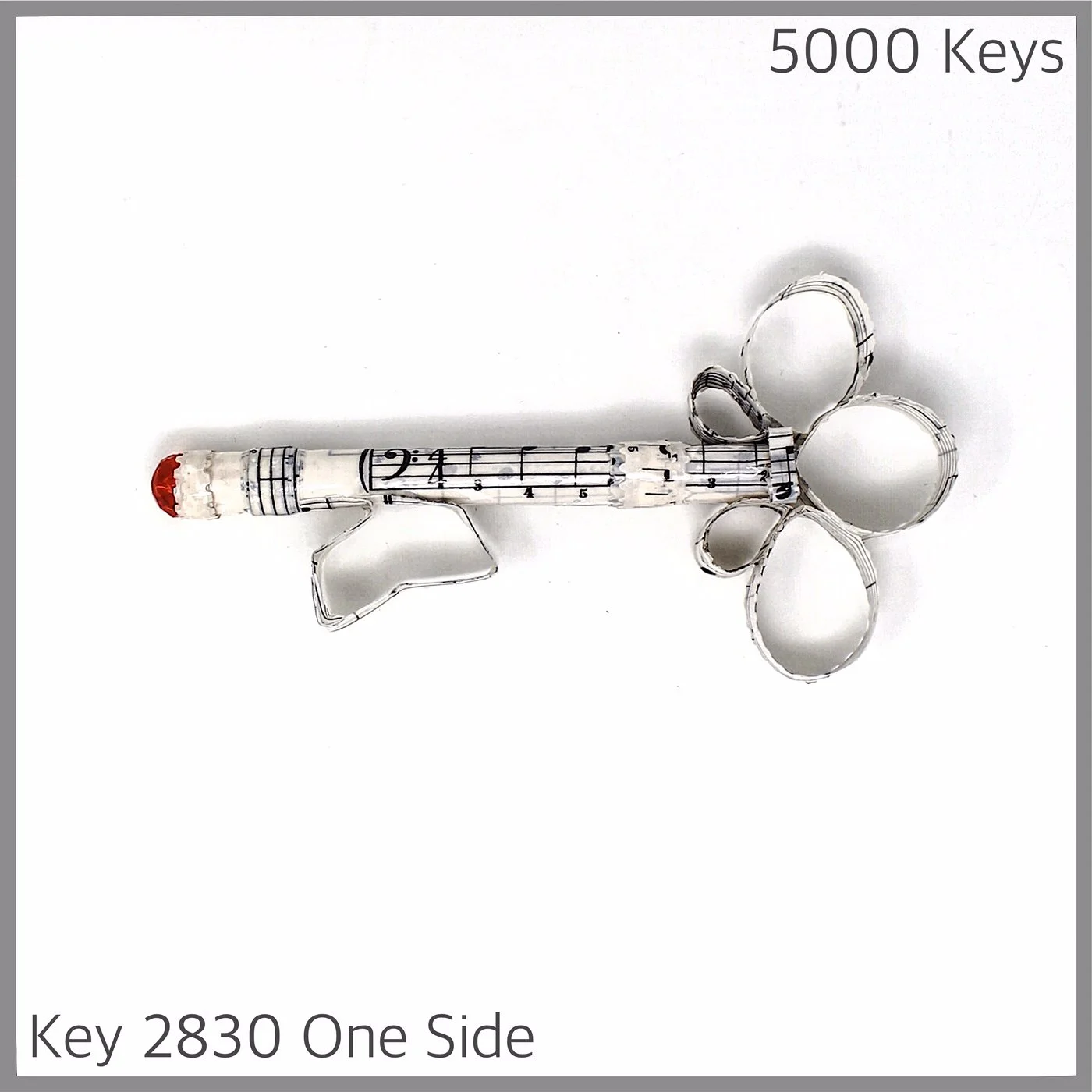 Key 2830 One Side.JPG