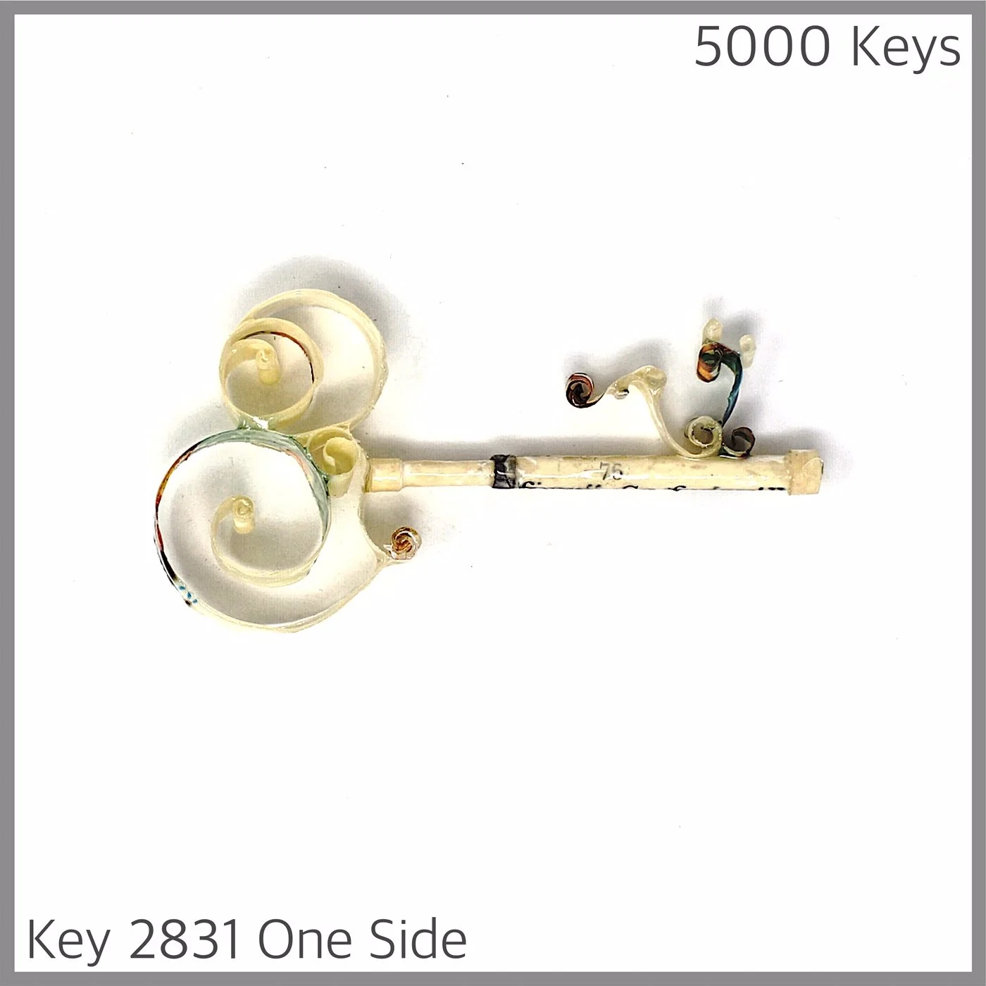 Key 2831 One Side.JPG