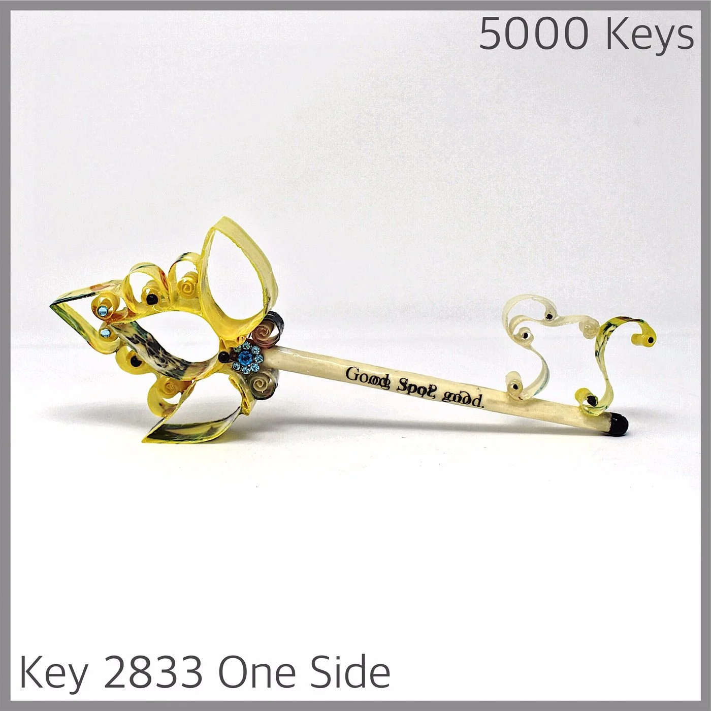 Key 2833 One Side.JPG