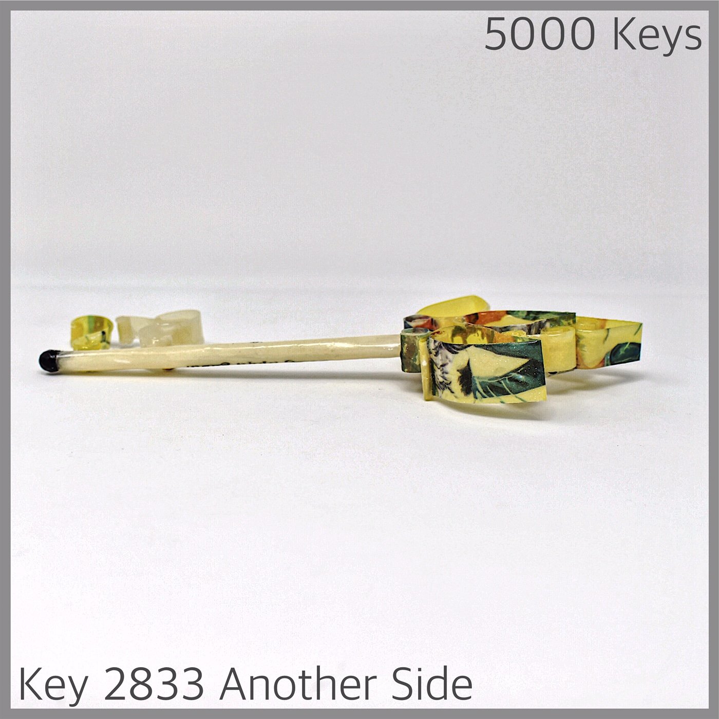 Key 2833 Another Side.JPG