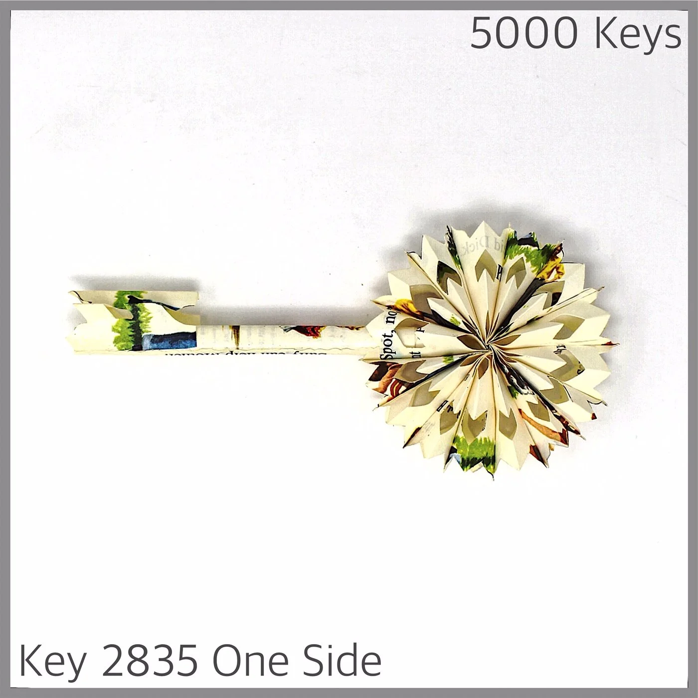 Key 2835 One Side.JPG