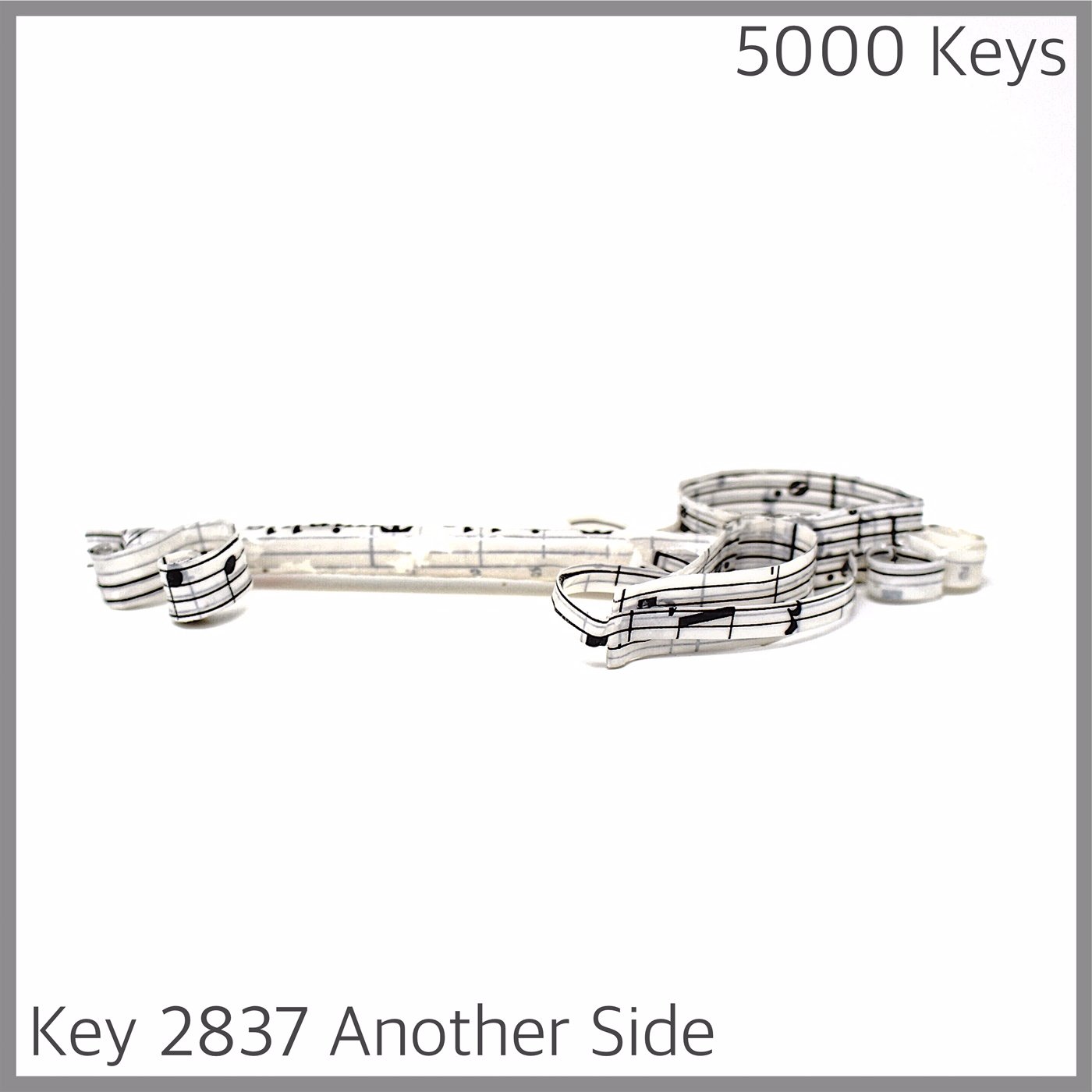 Key 2837 Another Side.JPG