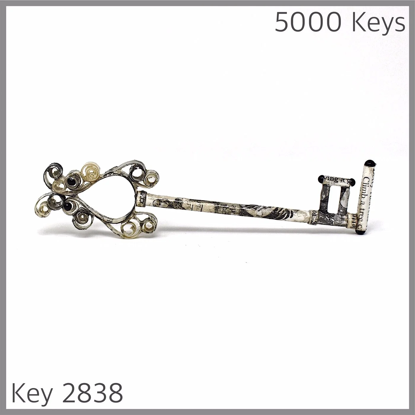 Key 2838.JPG