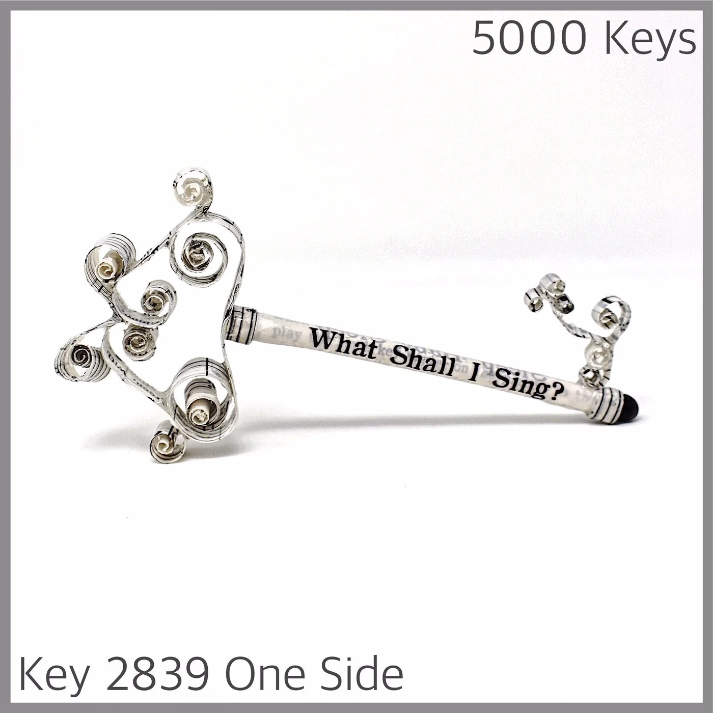 Key 2839  One Side.JPG