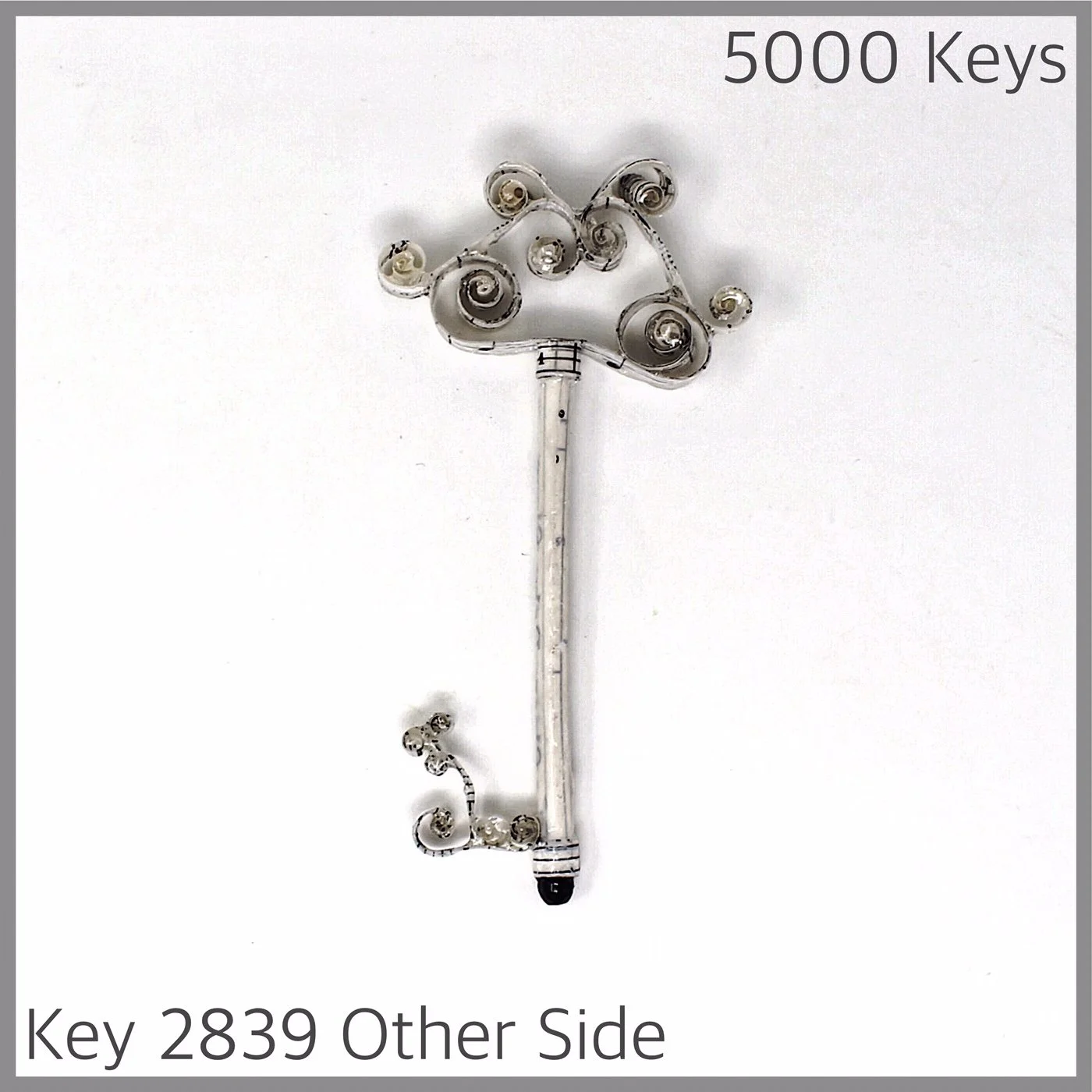 Key 2839 Other Side.JPG