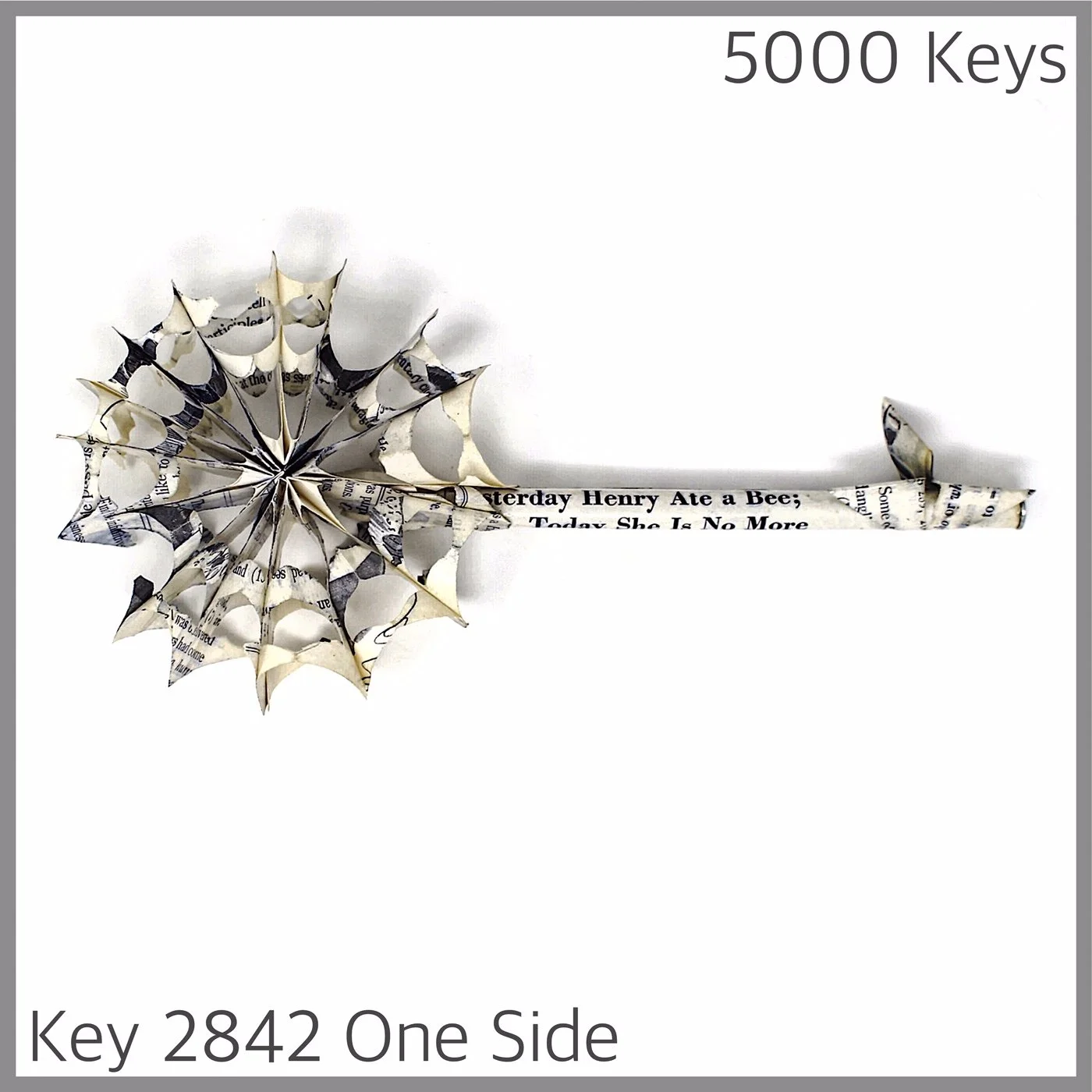 Key 2842 One Side.JPG