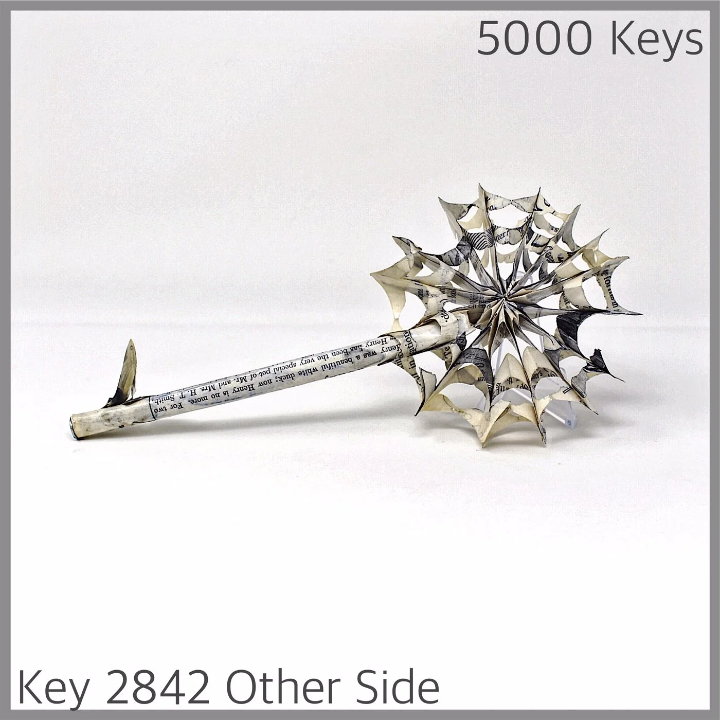 Key 2842 Other Side.JPG