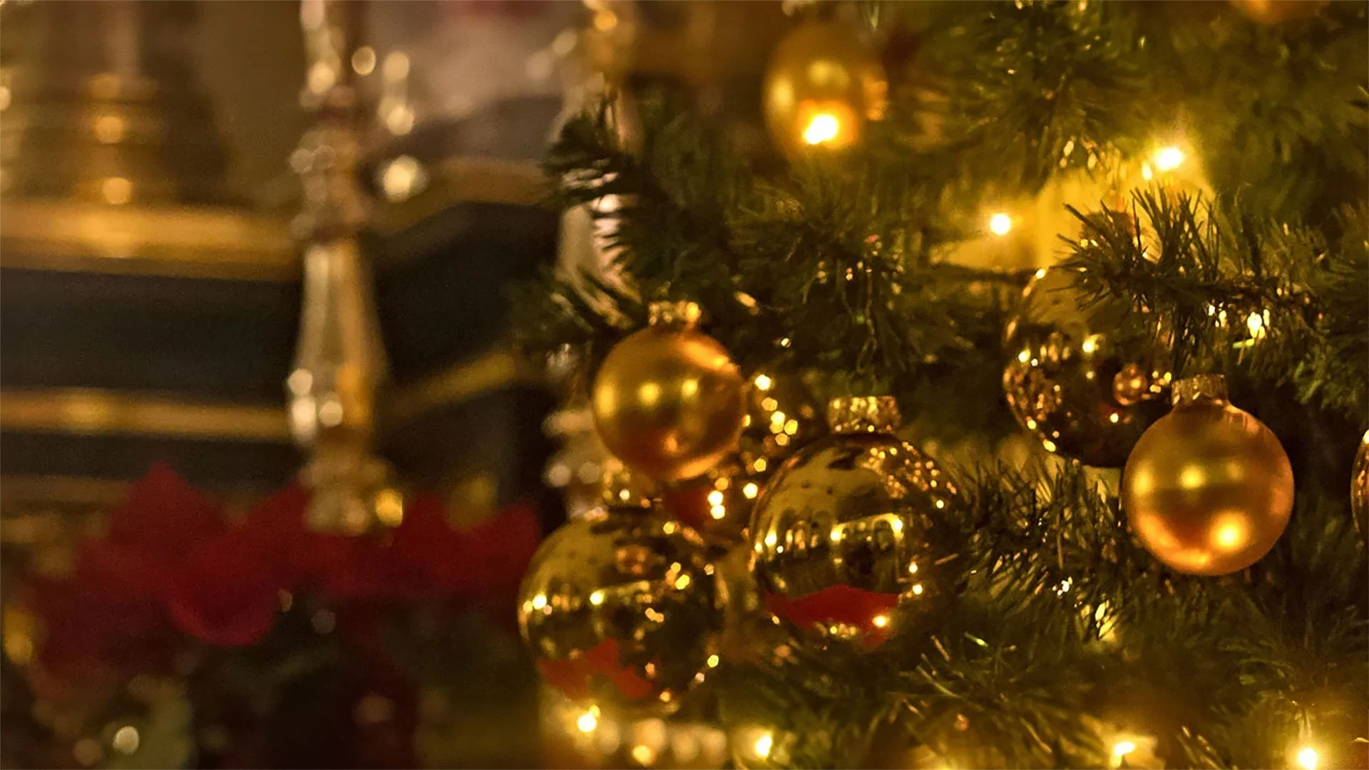  2025 OSLC Christmas Decorating  13 December 2025 at 9 AM   Learn More  