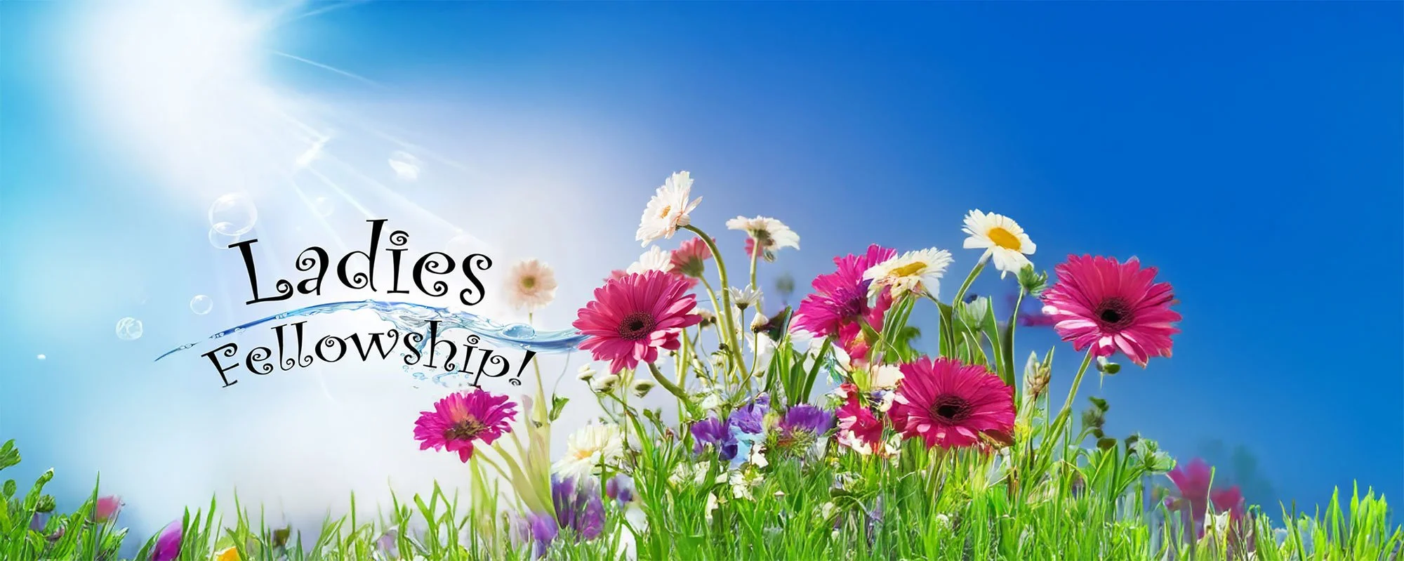 OSLC Ladies' Gathering Feb. 2026