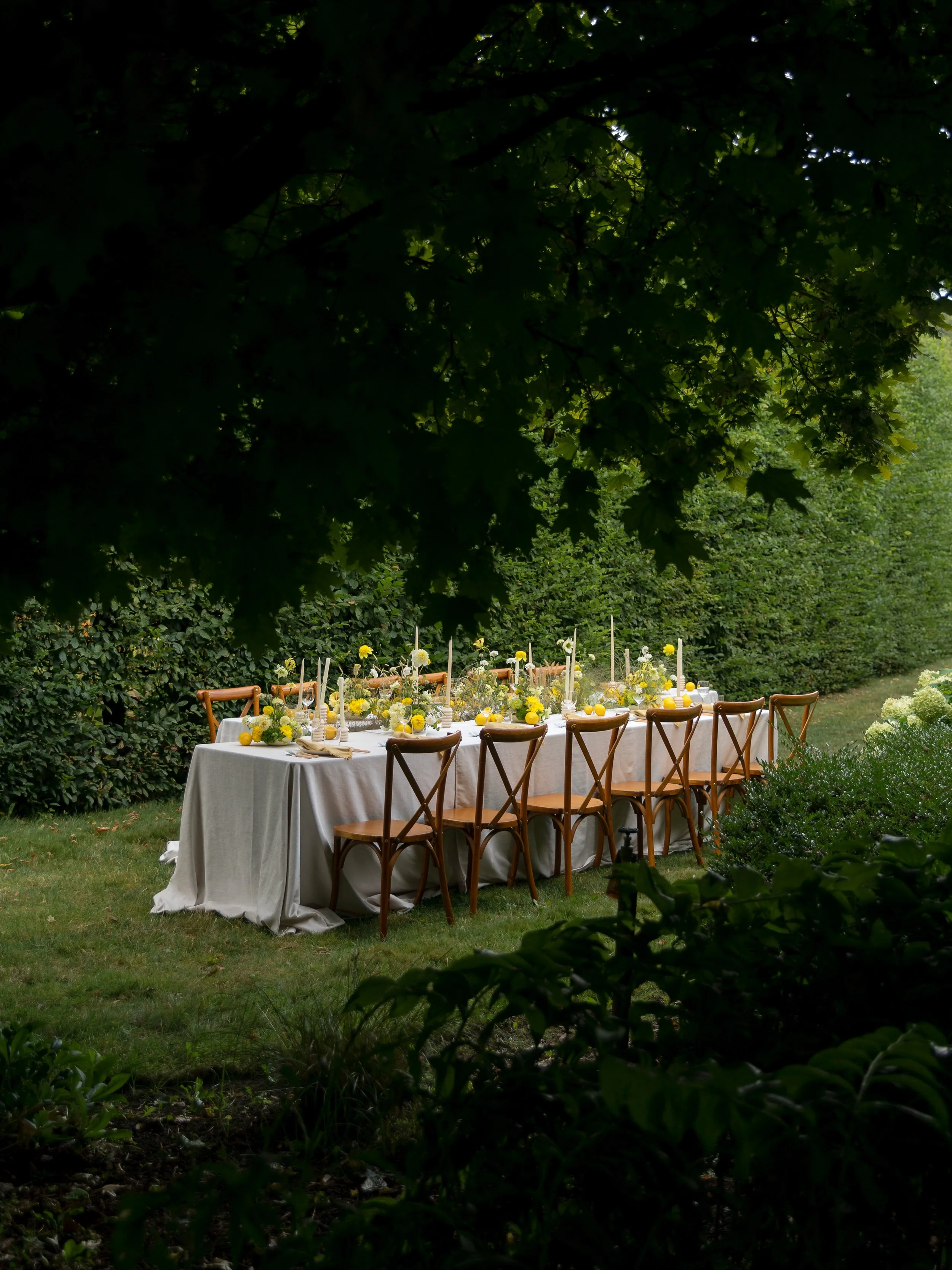 Briarwood Estate_Lauren New Photography-21 (1).jpg