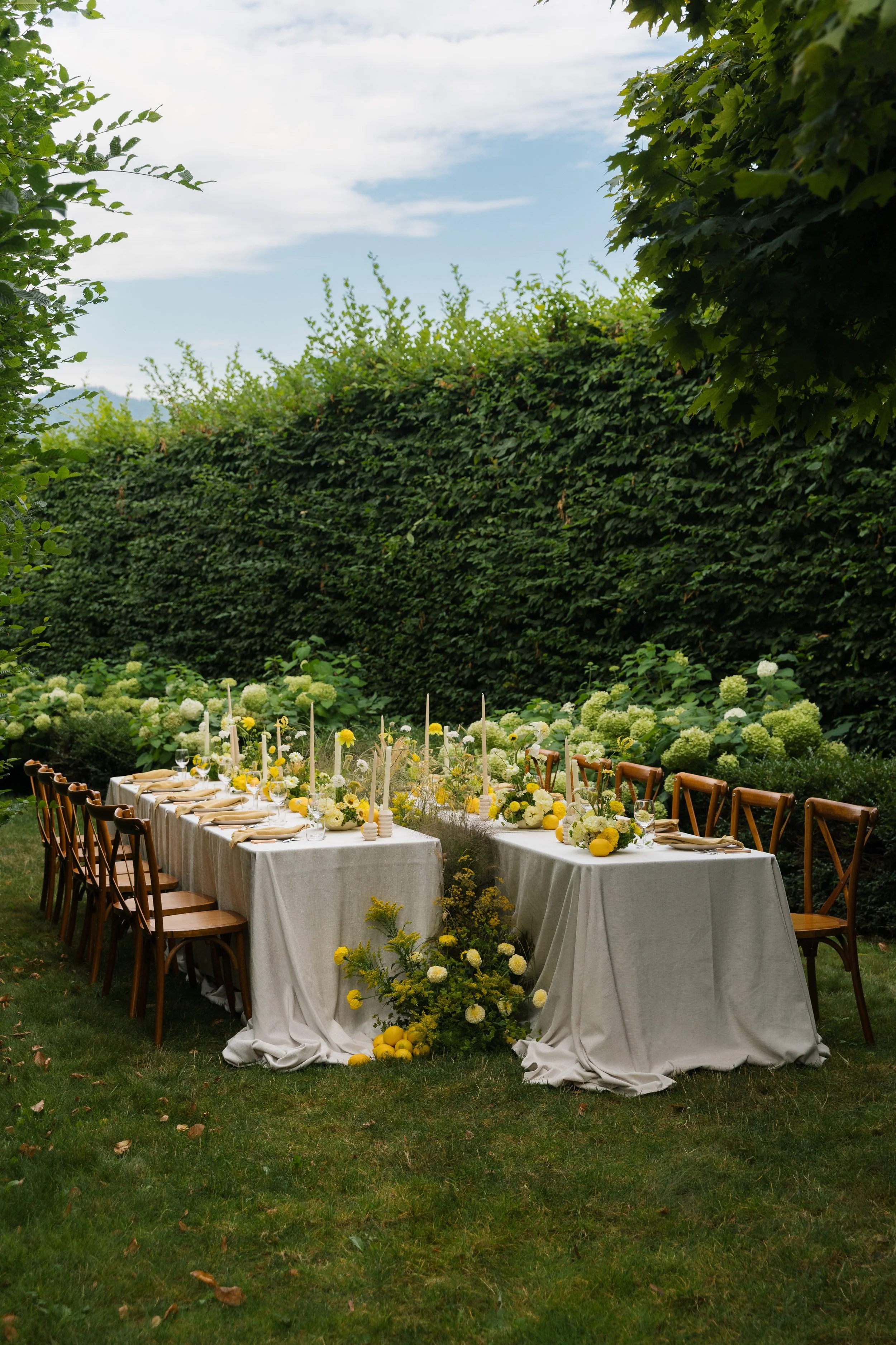 Briarwood Estate_Lauren New Photography-16 (1).jpg