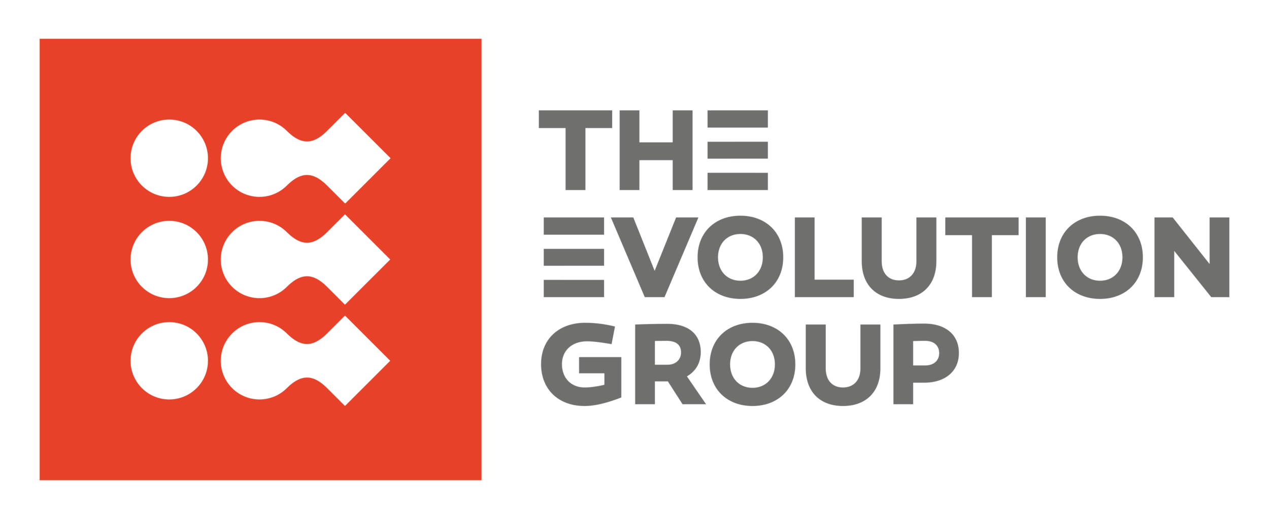 The Evolution Group