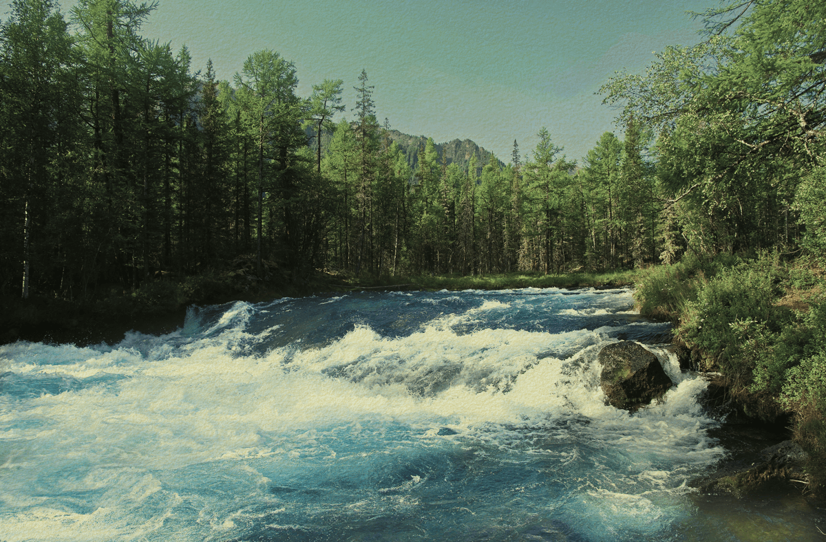 buckheadmountaingrill_websiteheader_1 2.png