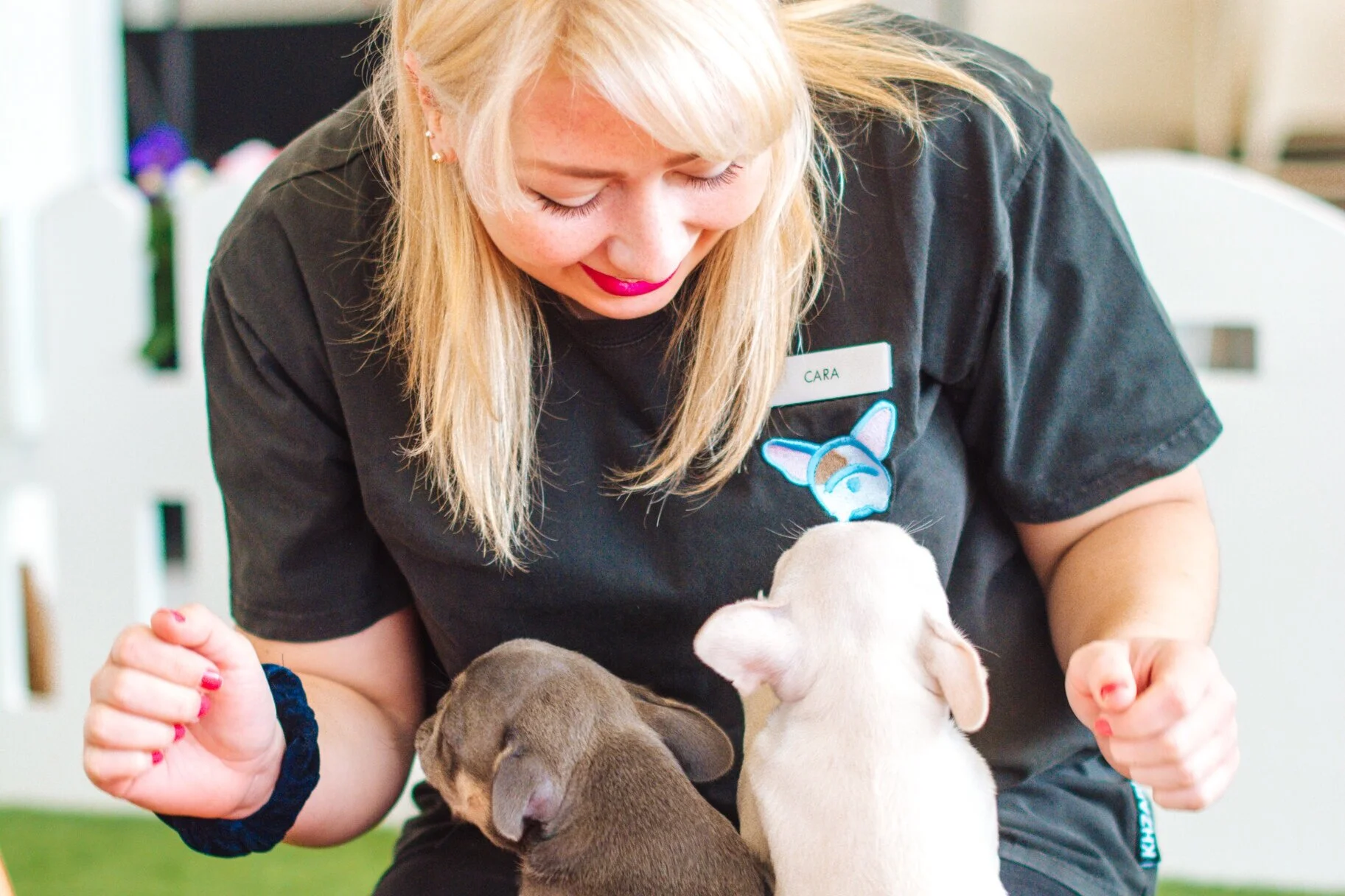 Paws in Work Cara with Pups