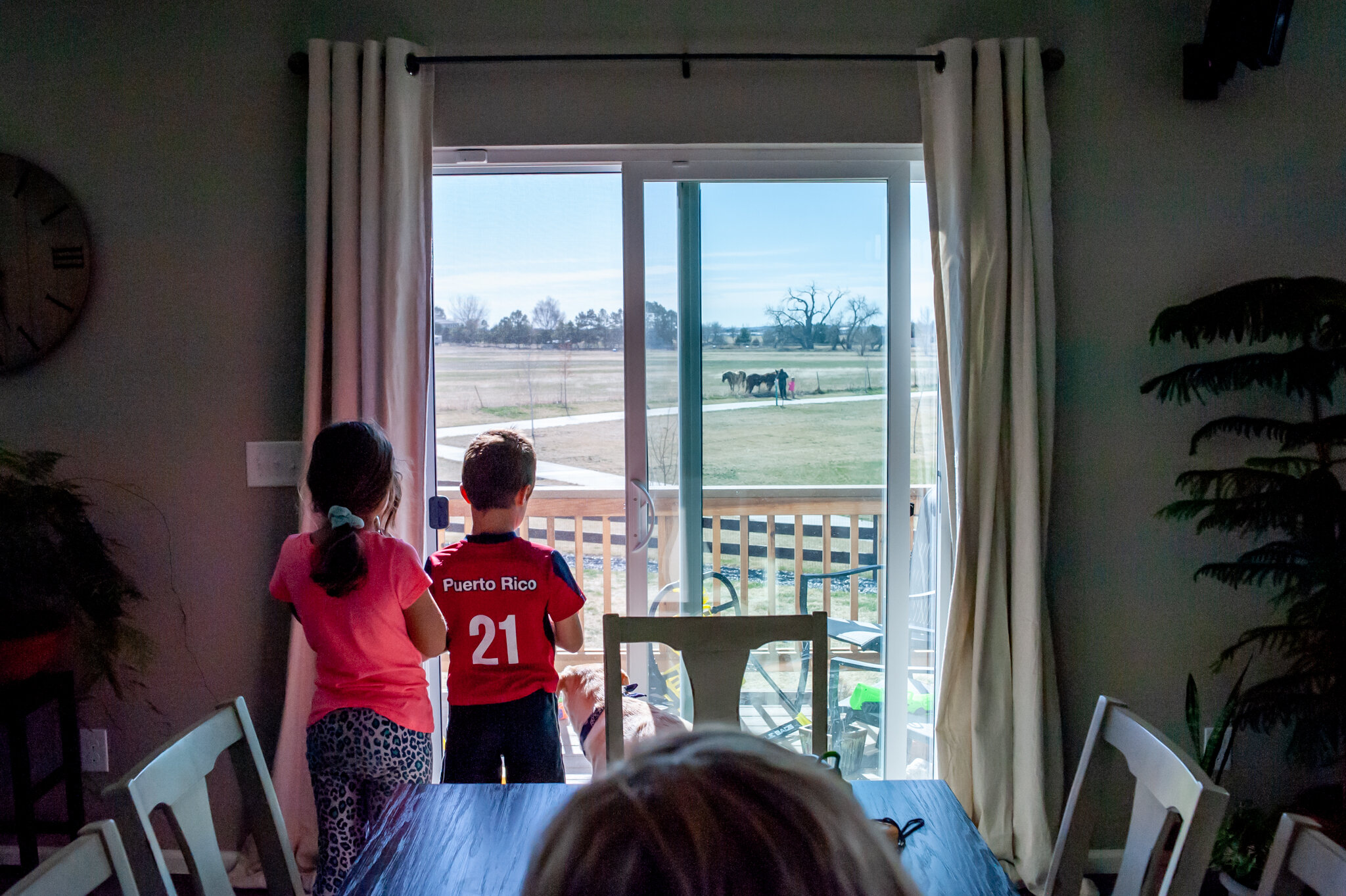  Ruben and Cecilia Maldonado, 8, look at horses outside from their home in Timnath, Colo., on Wednesday, March 25, 2020. With schools closed to limit the spread of coronavirus their mother, Jacqueline Maldonado, has been homeschooling them. Valerie M