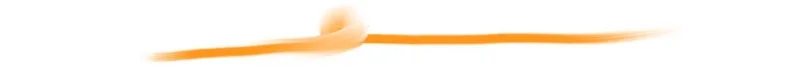 Línea naranja.jpg