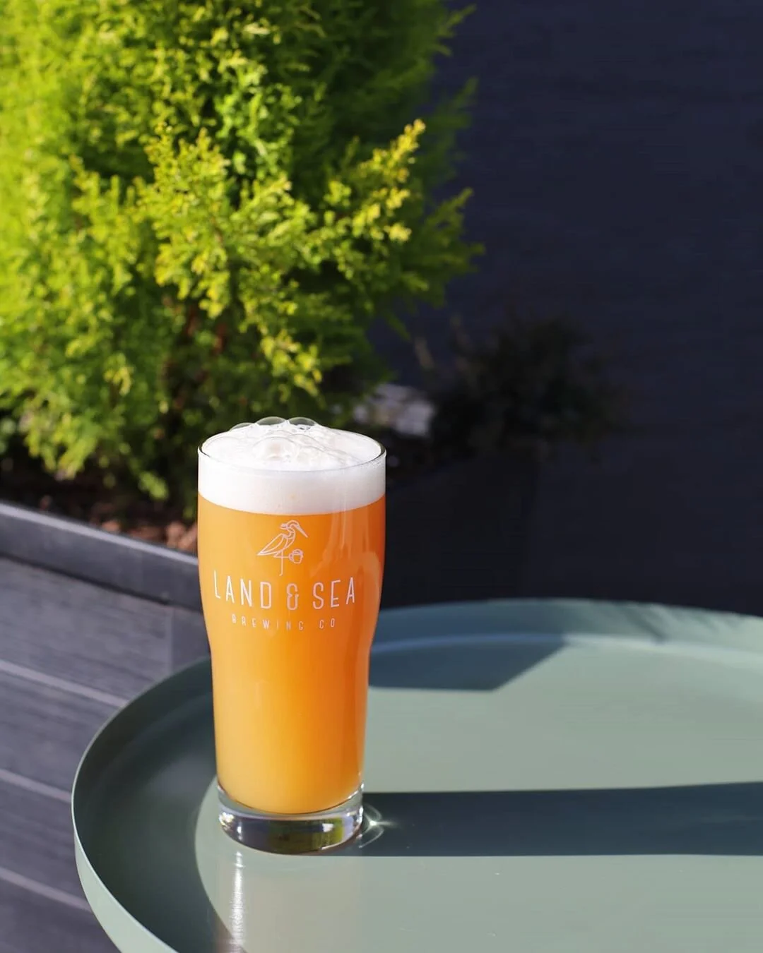 PARADISE HAZY IPA w/ KVIEK