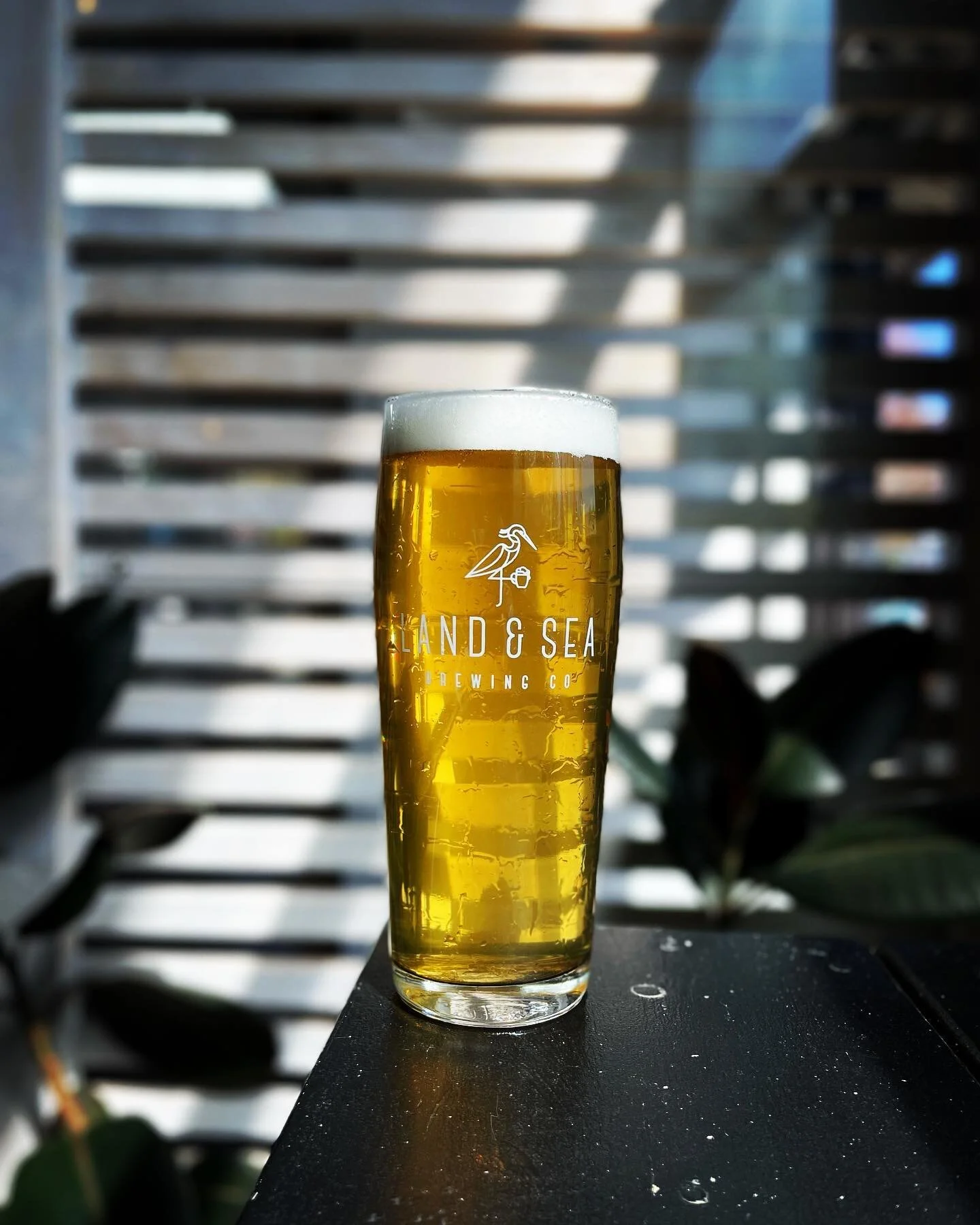 Land & Sea Brewing Co.