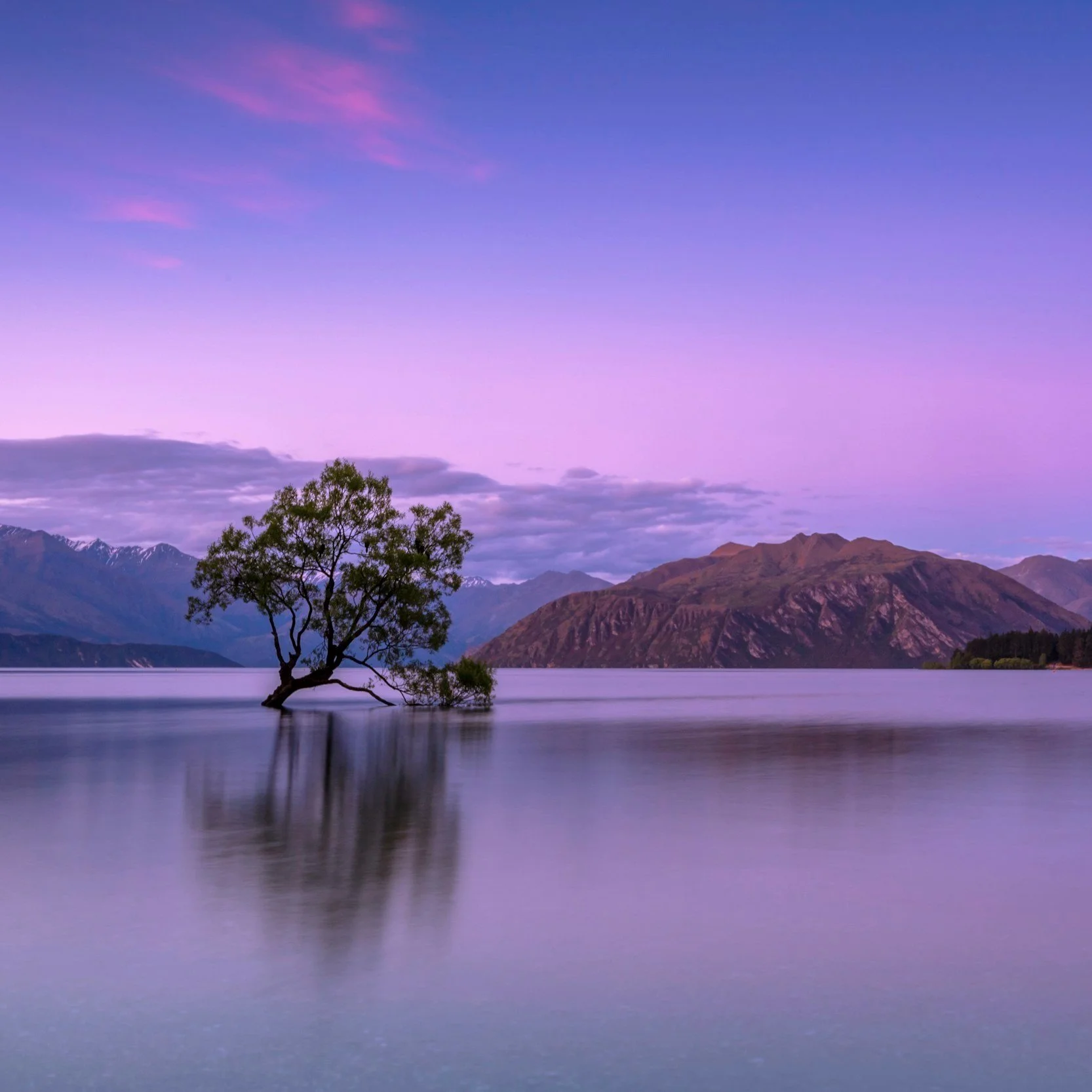 somatic therapy for complex trauma women 1-on-1 coaching online