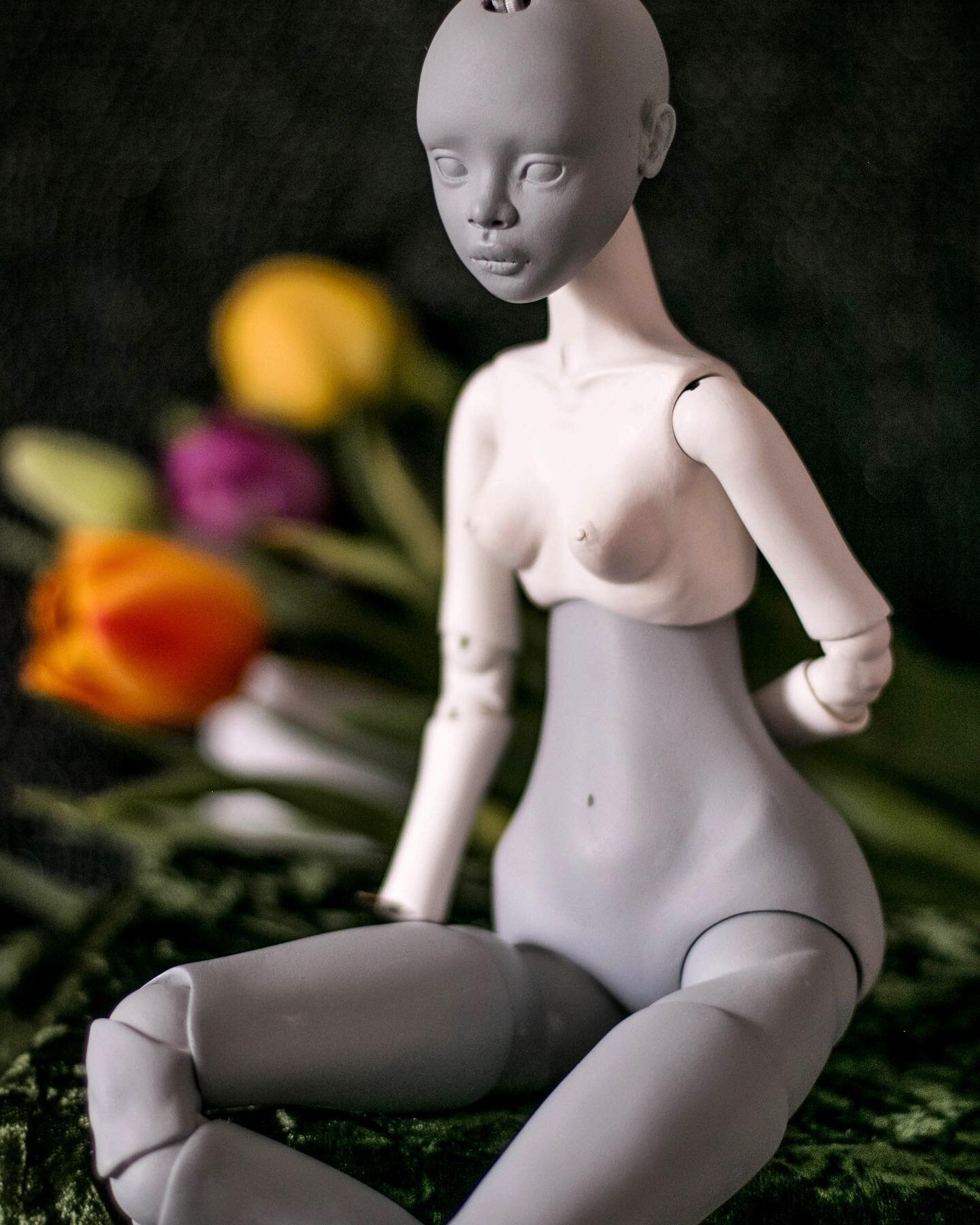 Introduction – What are Ball-joint dolls?