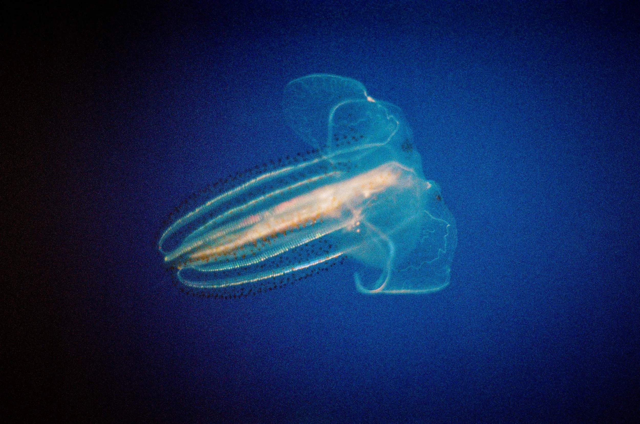 20230511-000064830027.jpg