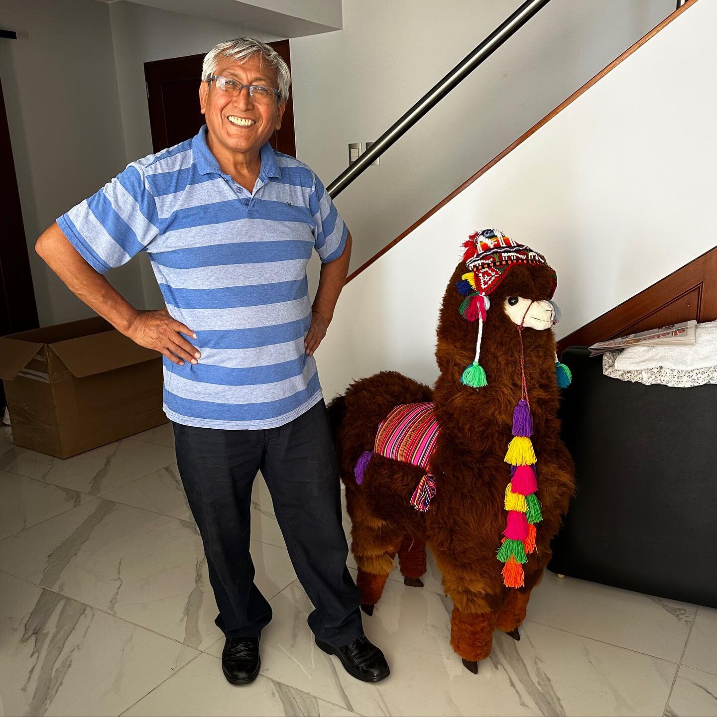 We are so excited Don Alberto is back to the states! He and Dona Elaine have been in Lima and have brought back a special new family member! Please welcome Miss Dolly Llama to our Fiesta Westside Family!