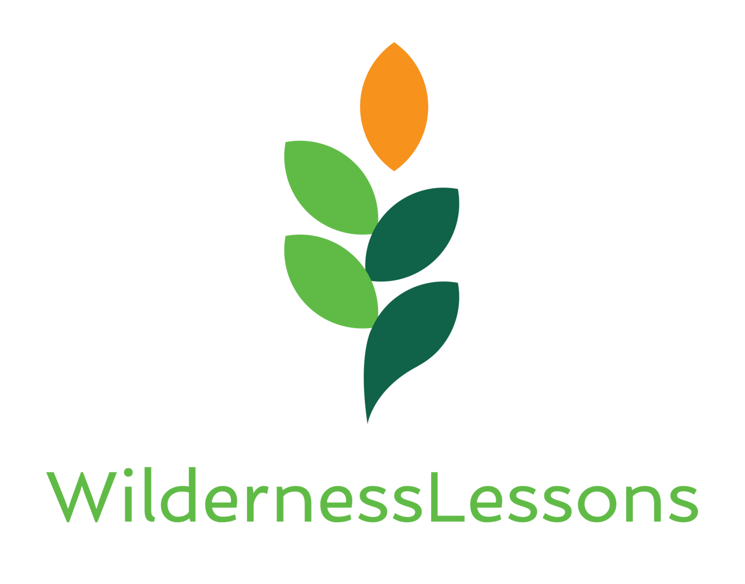 WildernessLessons