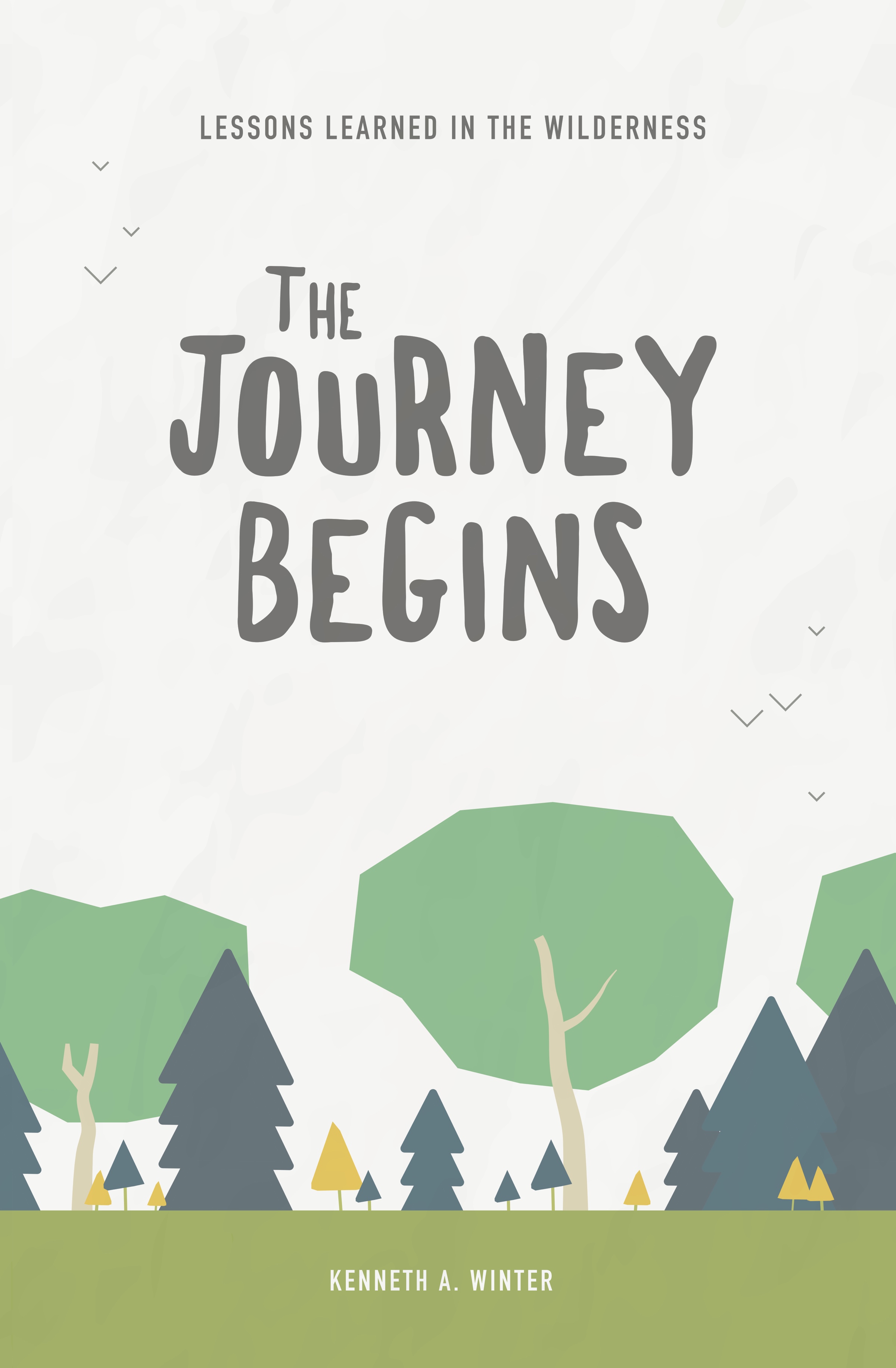 The Journey Begins Cover