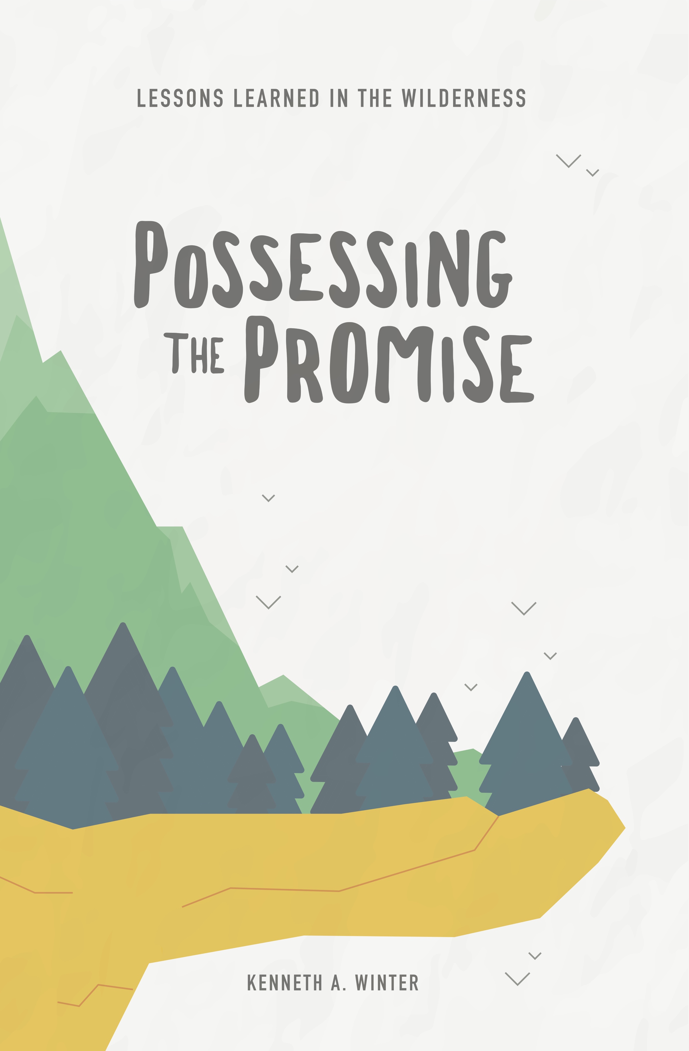 Possessing The Promise Cover