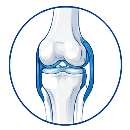 Knee Ligament Surgery (Copy)