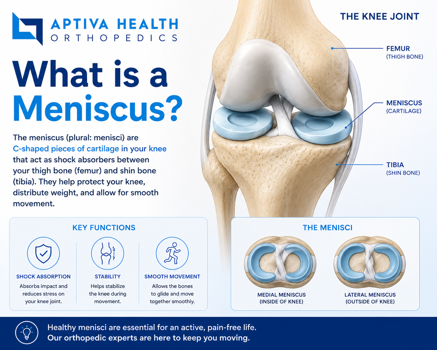 What is a Knee Meniscus?