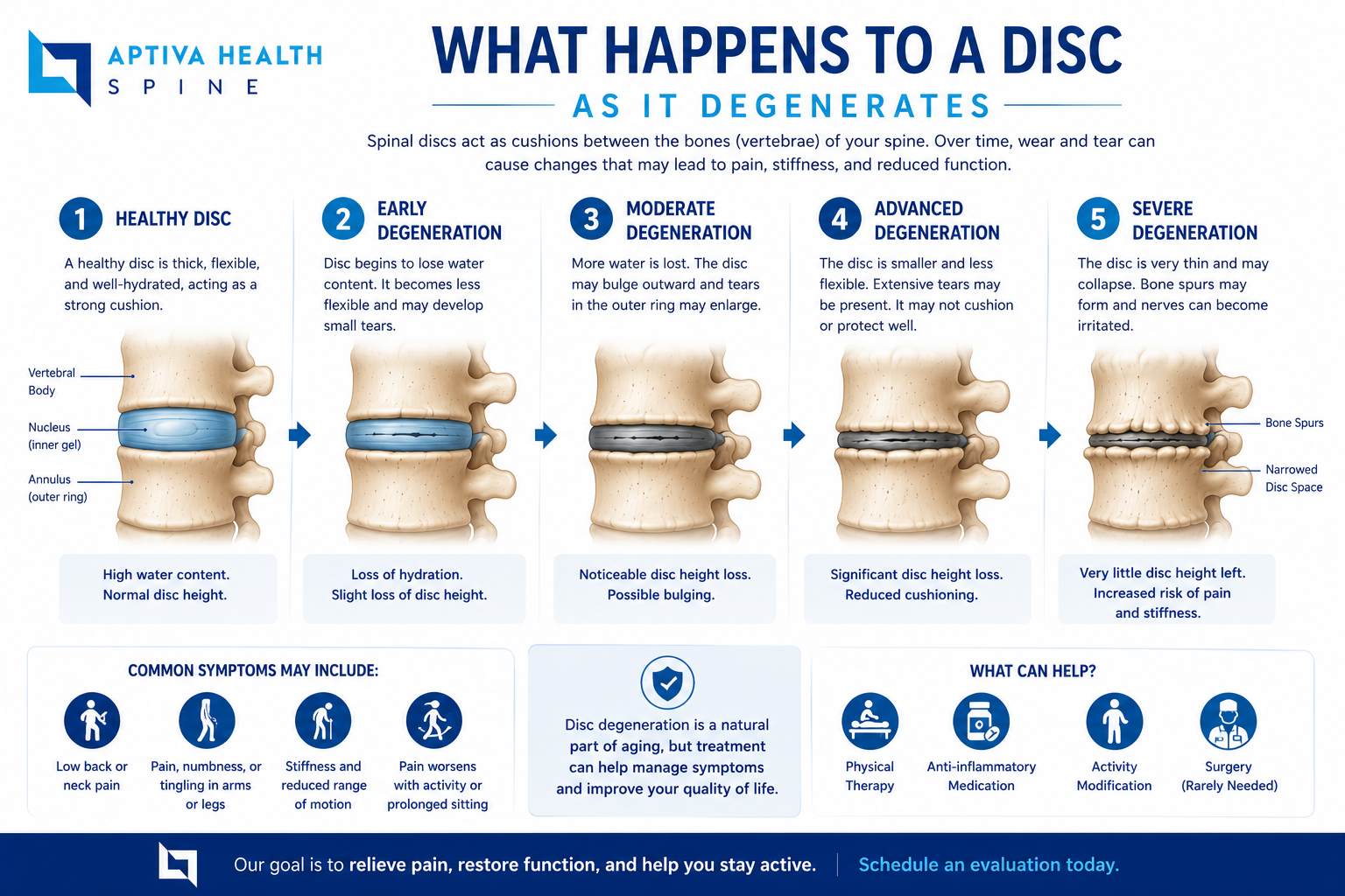 What happens to a spinal disc as it degenerates