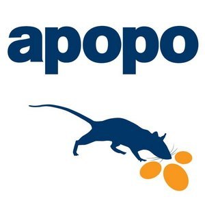 apopo hero rats auction charity at campo & campo antwerp