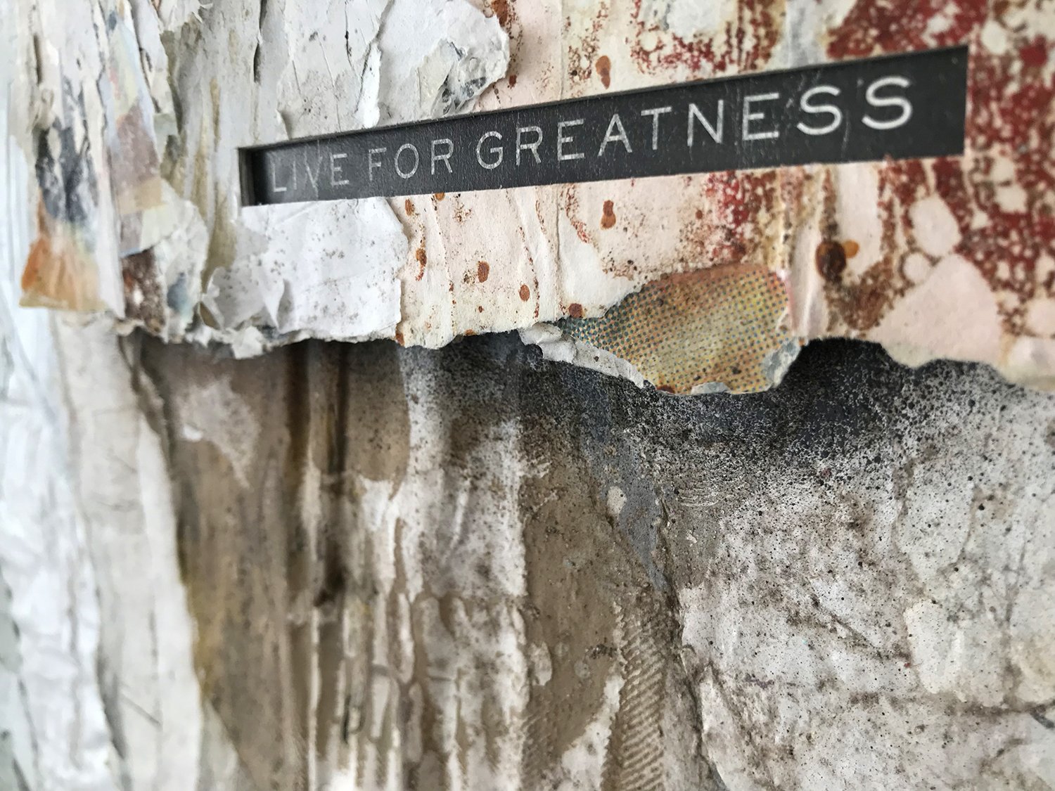 live for greatness-detail 03-small.jpg