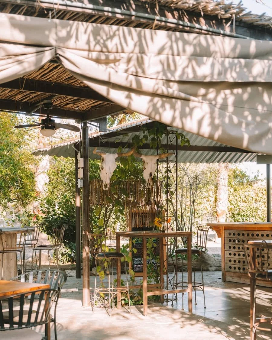 best-restaurants-in-Todos-Santos-Hierbabuena.jpg
