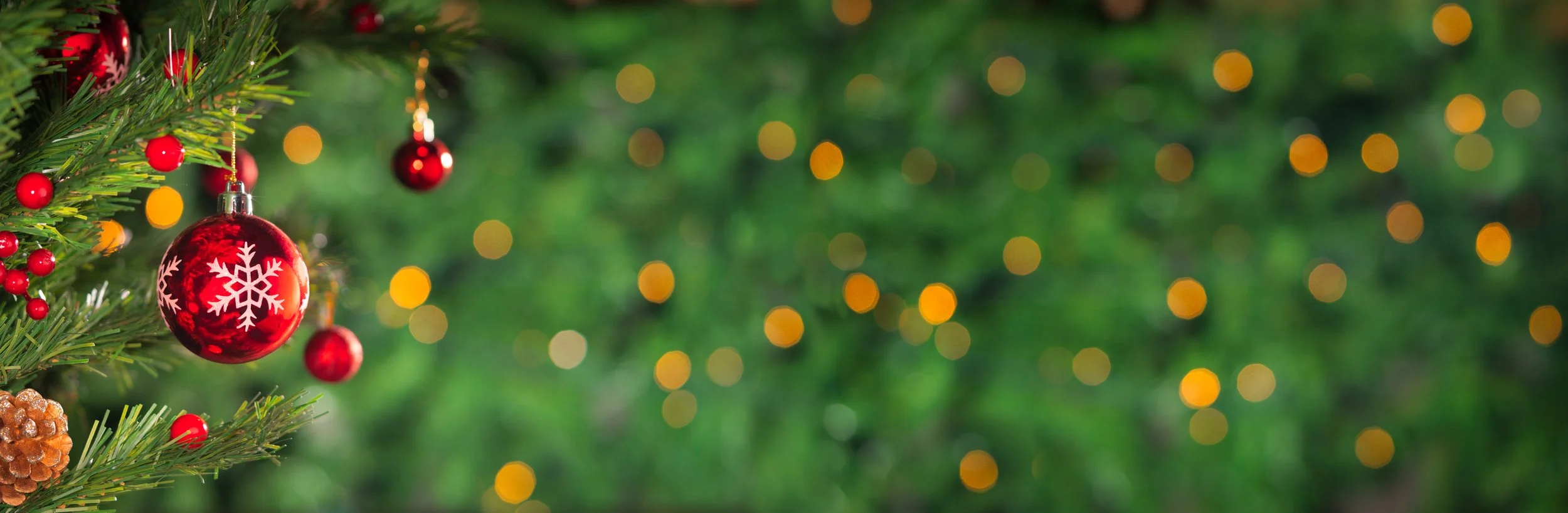 AdobeStock_297966906.jpeg