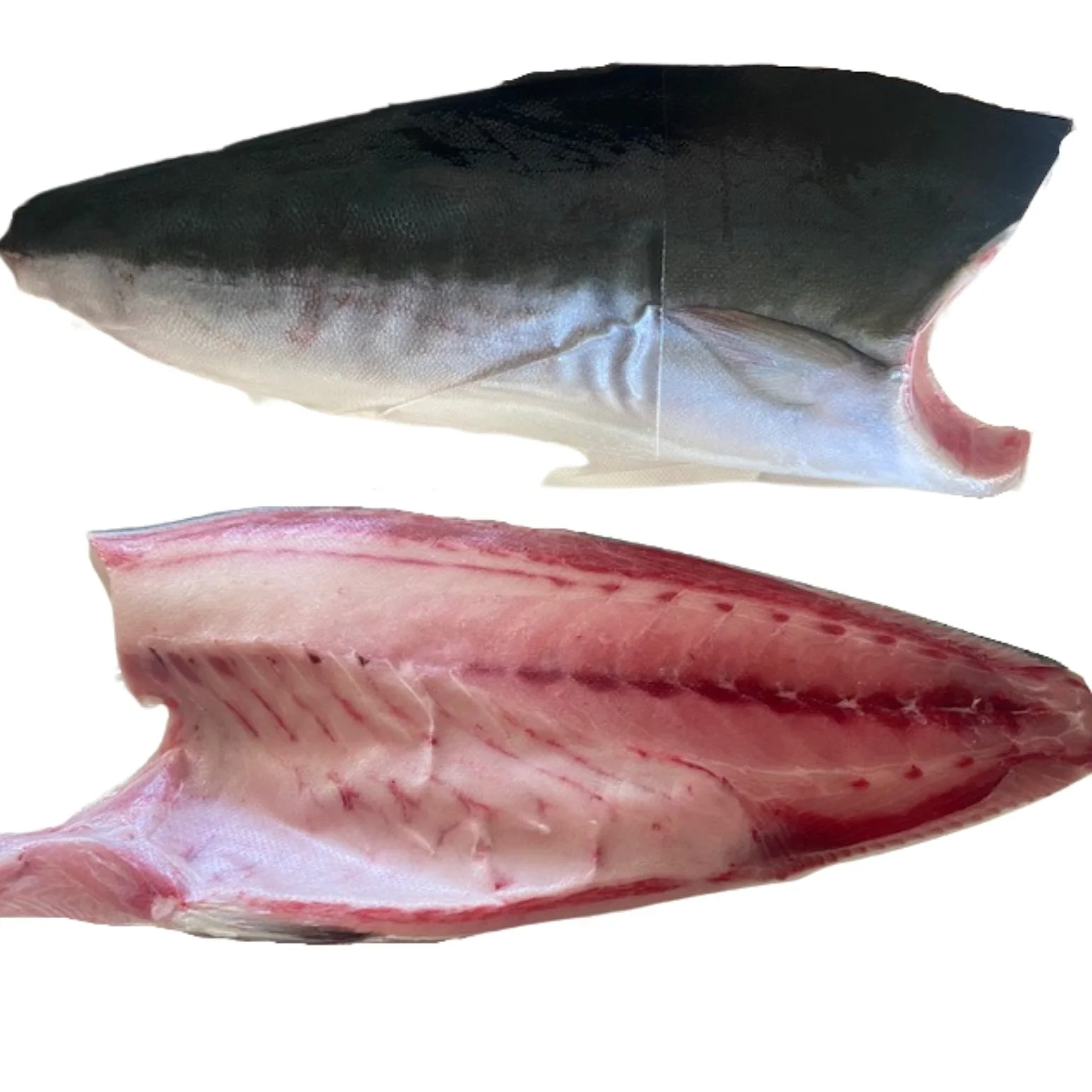 Fortuna Sea Products Inc. Frozen Seafood Importers and Wholesalers