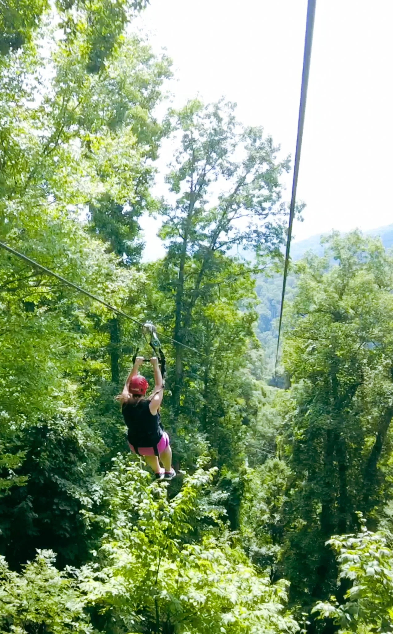 Complete Travel Guide to Exploring Asheville, North Carolina