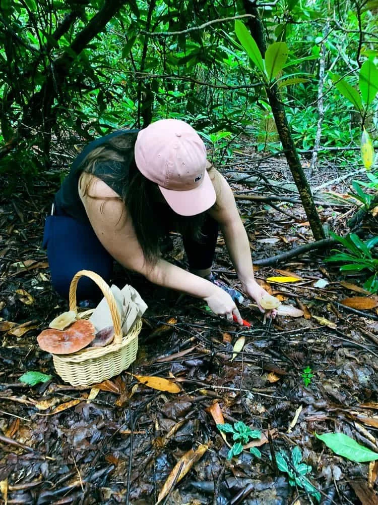 Complete Travel Guide to Exploring Asheville, North Carolina